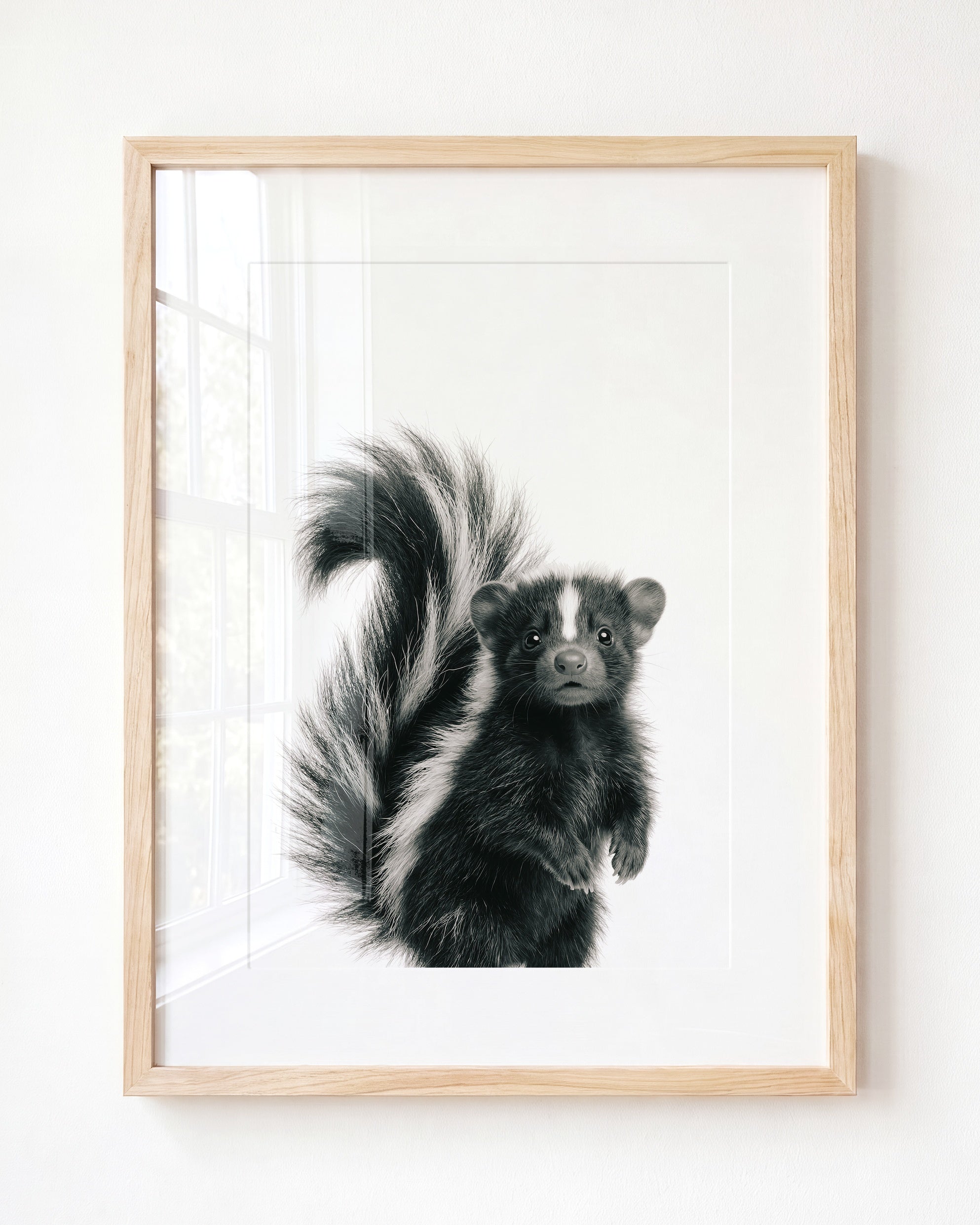 Baby Skunk