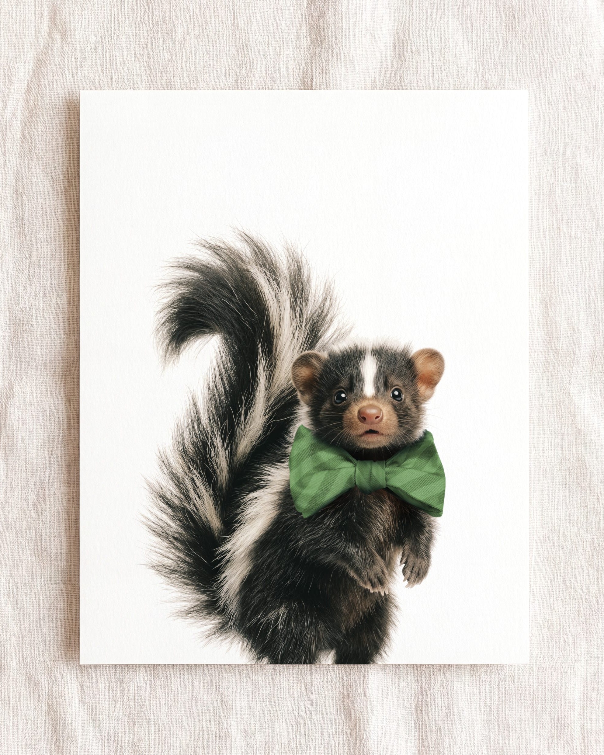 Baby Skunk
