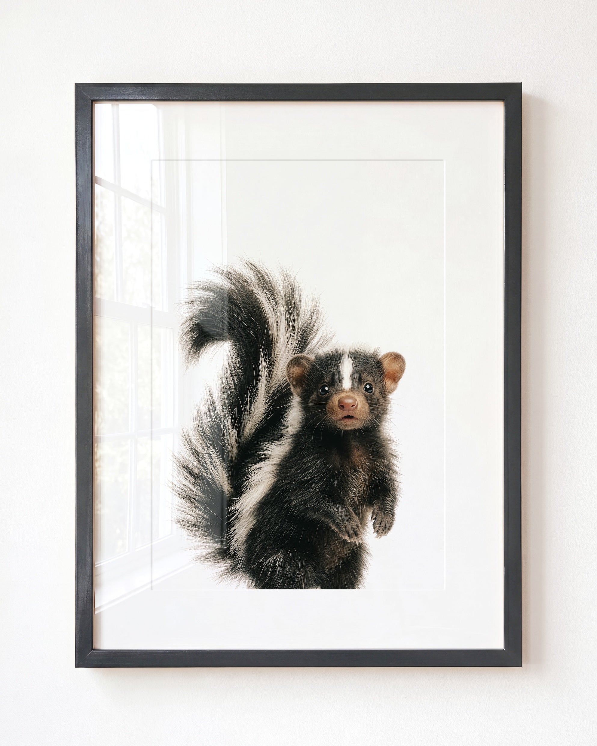 Baby Skunk