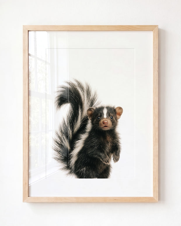 Baby Skunk