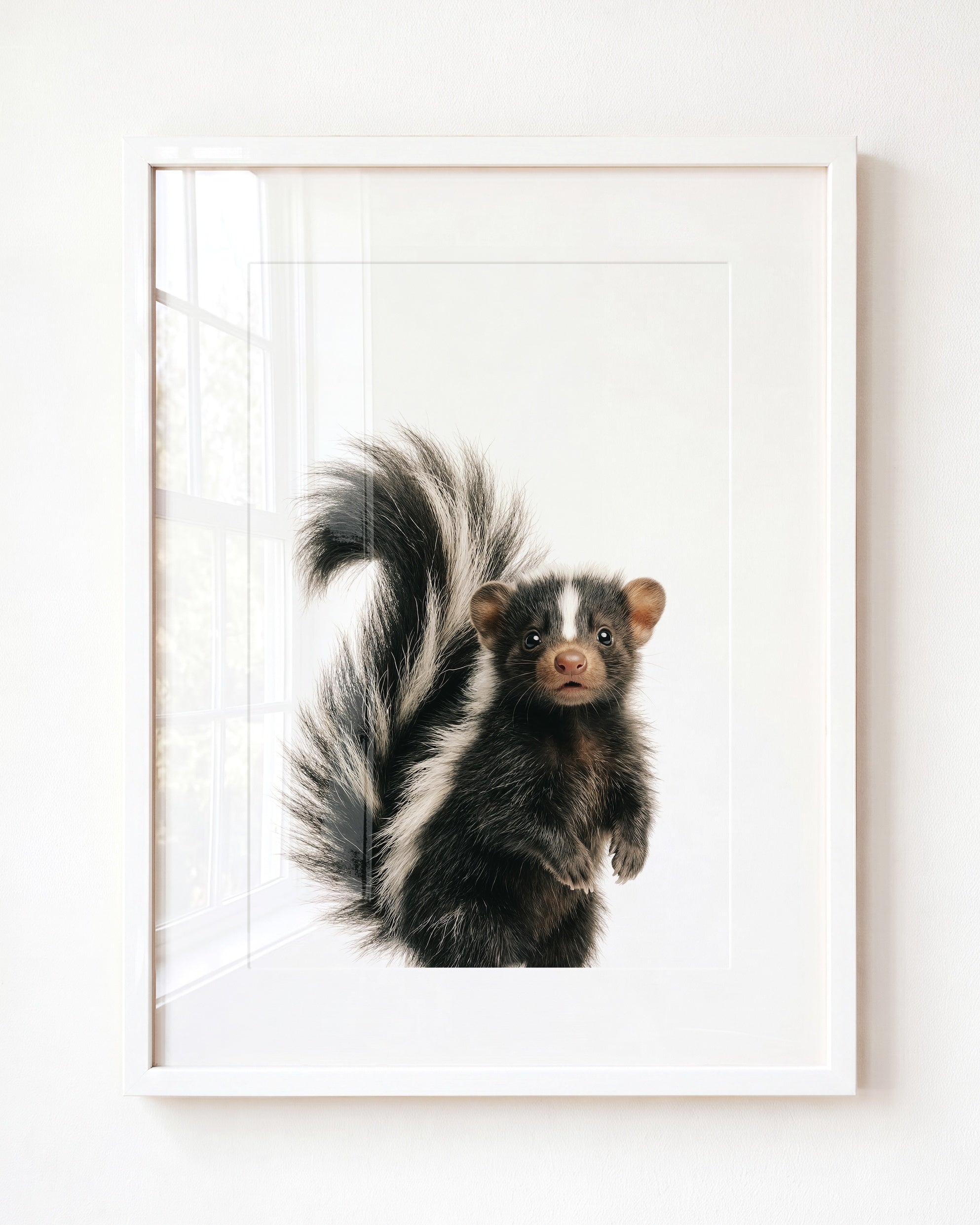 Baby Skunk