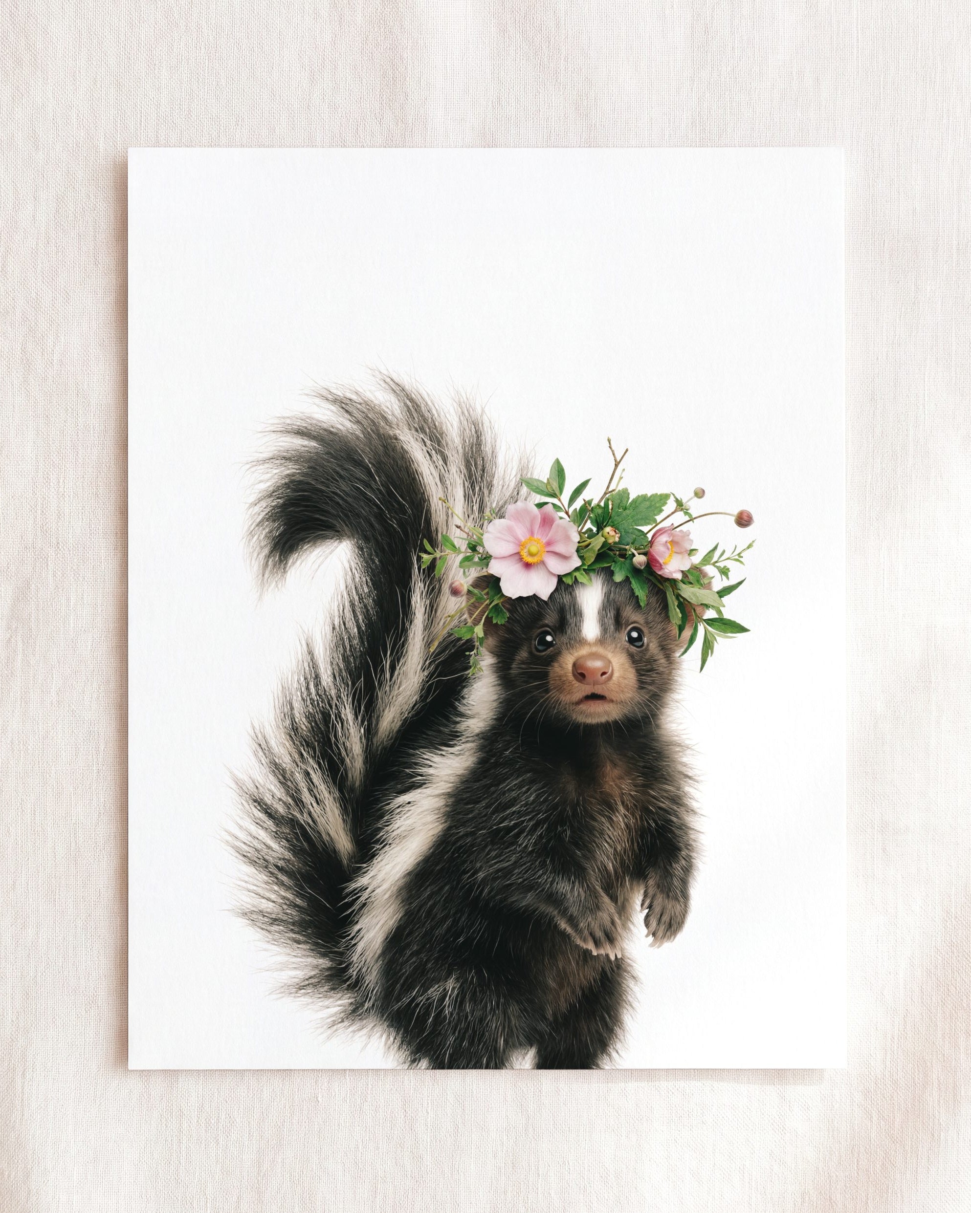 Baby Skunk