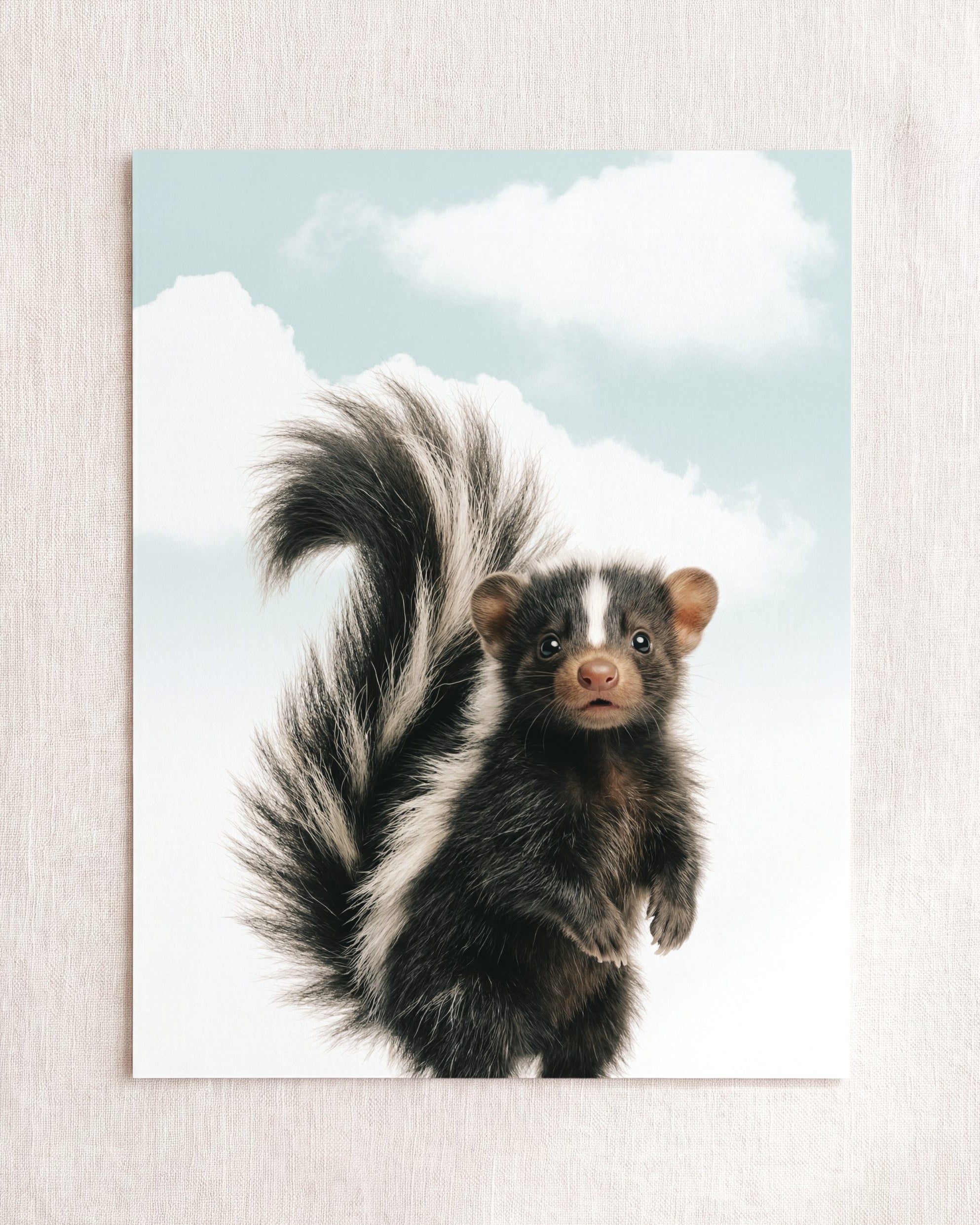 Baby Skunk
