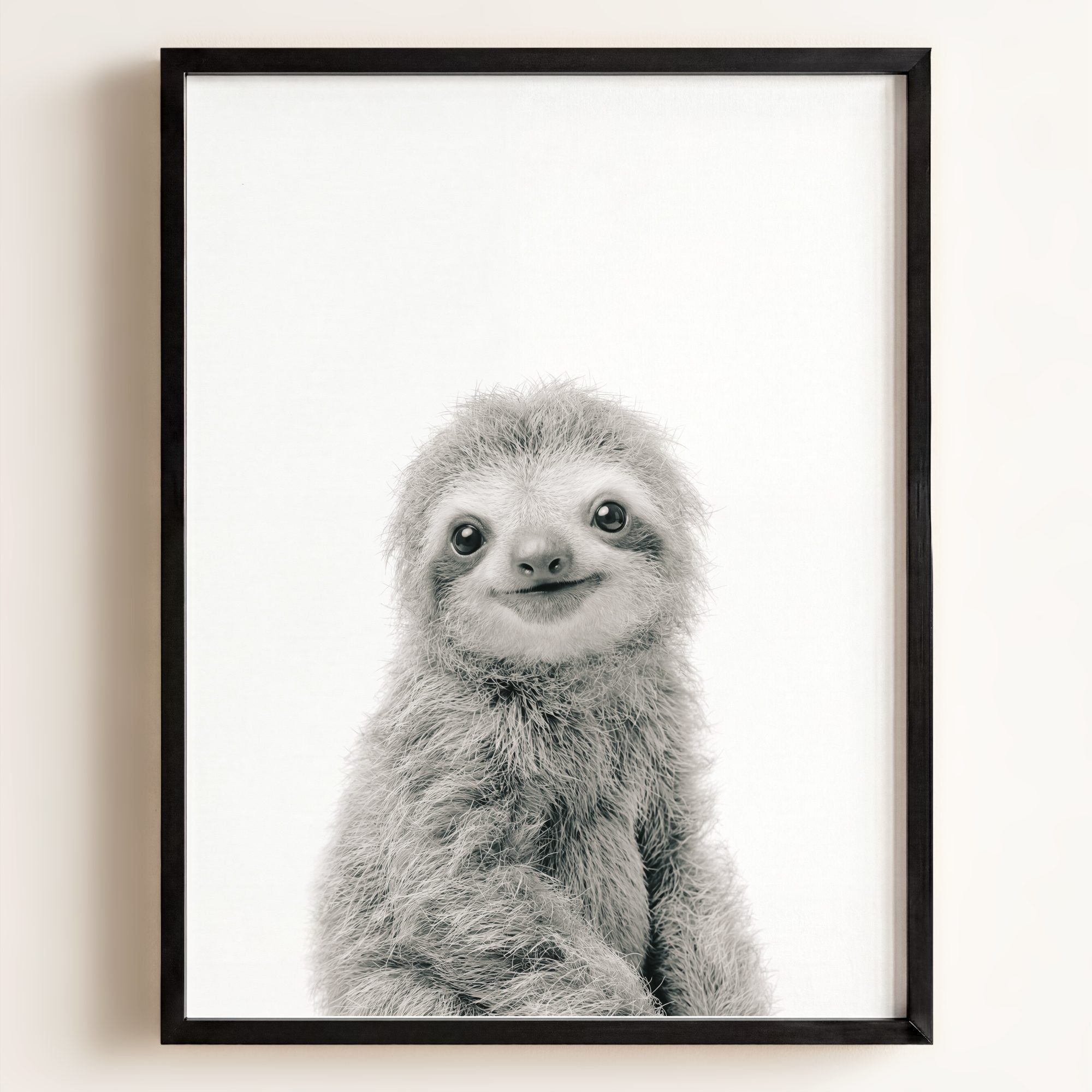 Baby Sloth