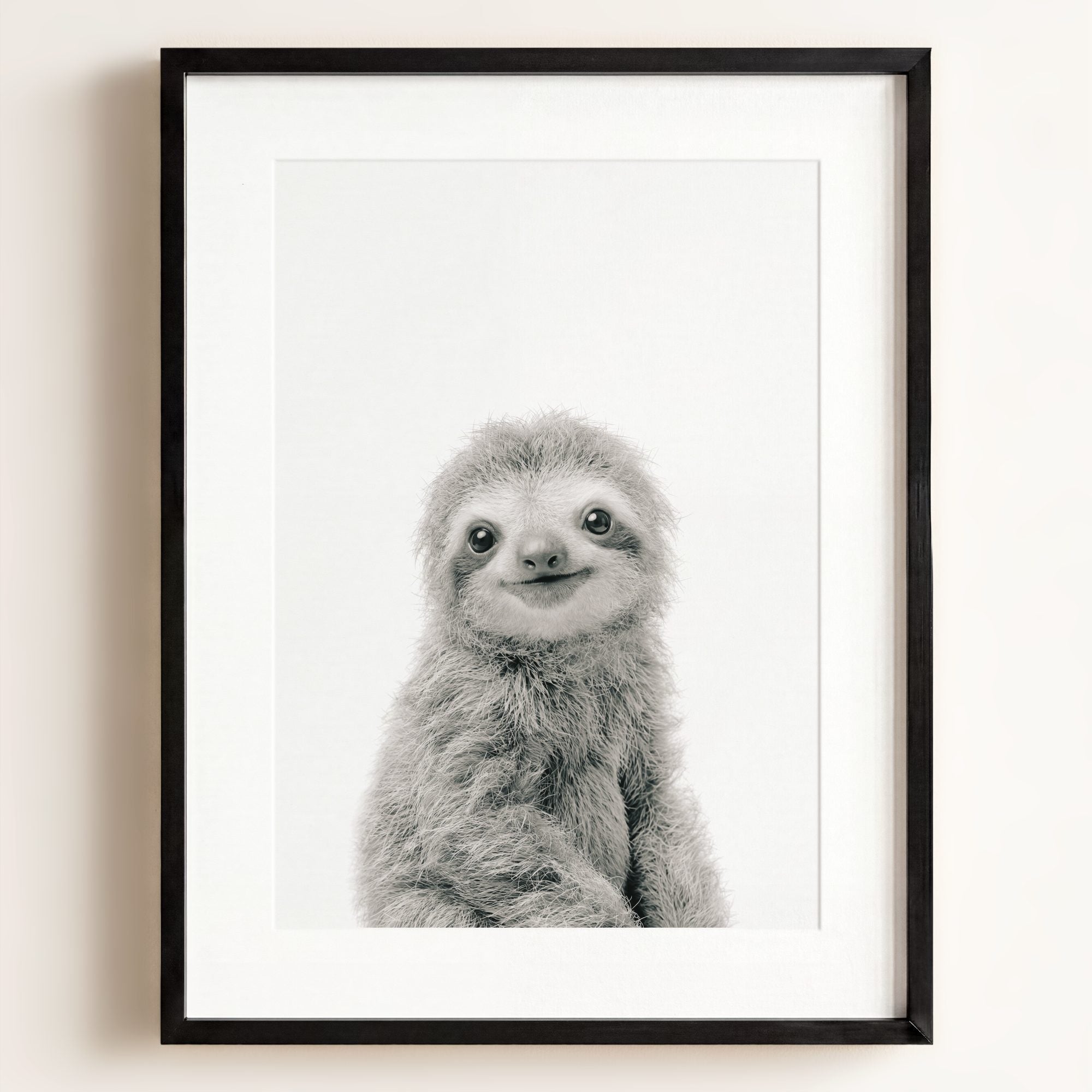 Baby Sloth