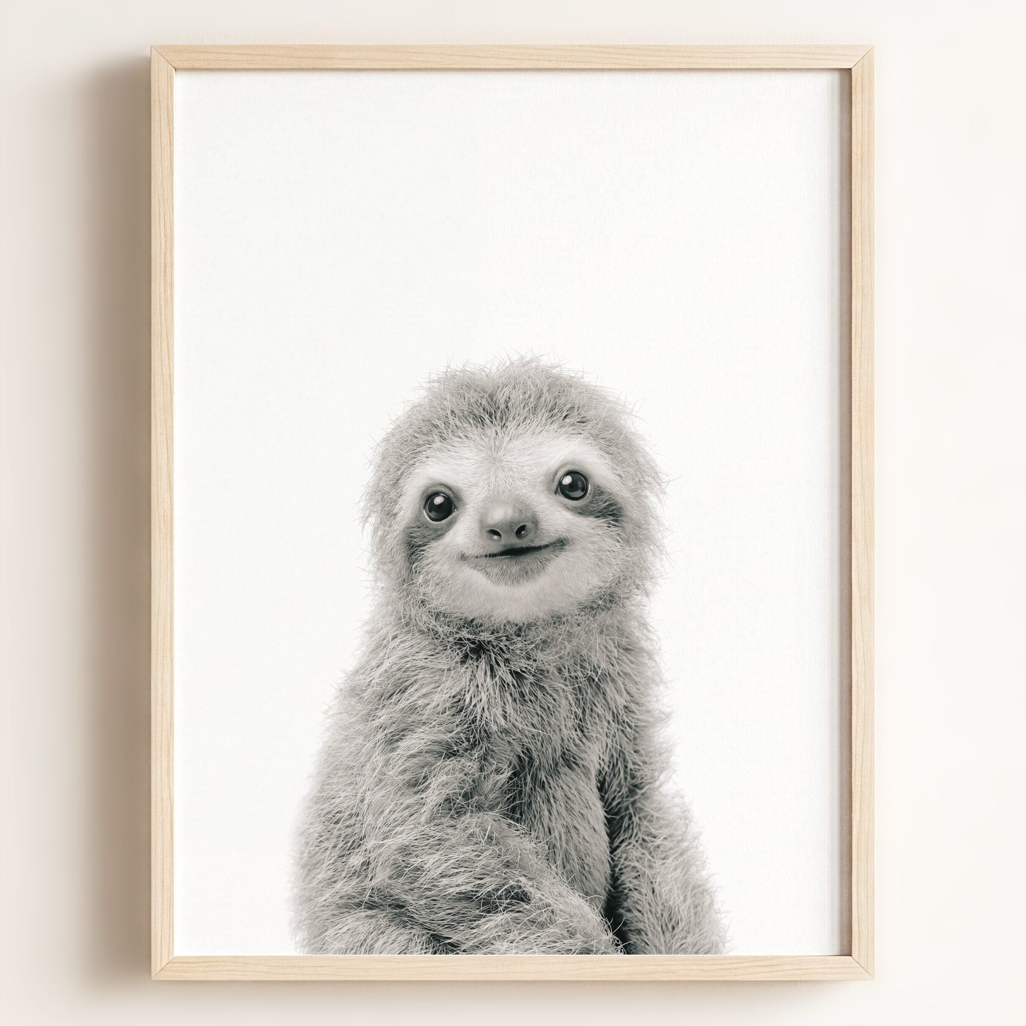 Baby Sloth