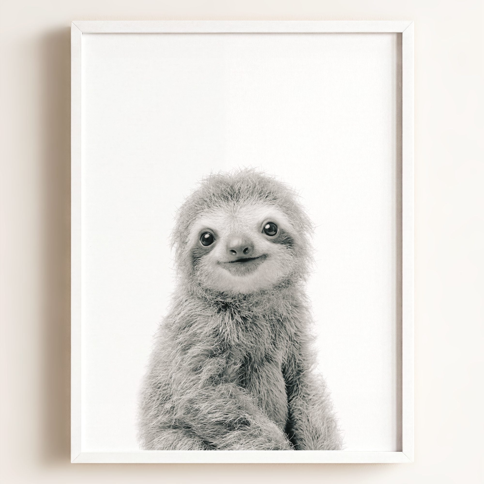 Baby Sloth