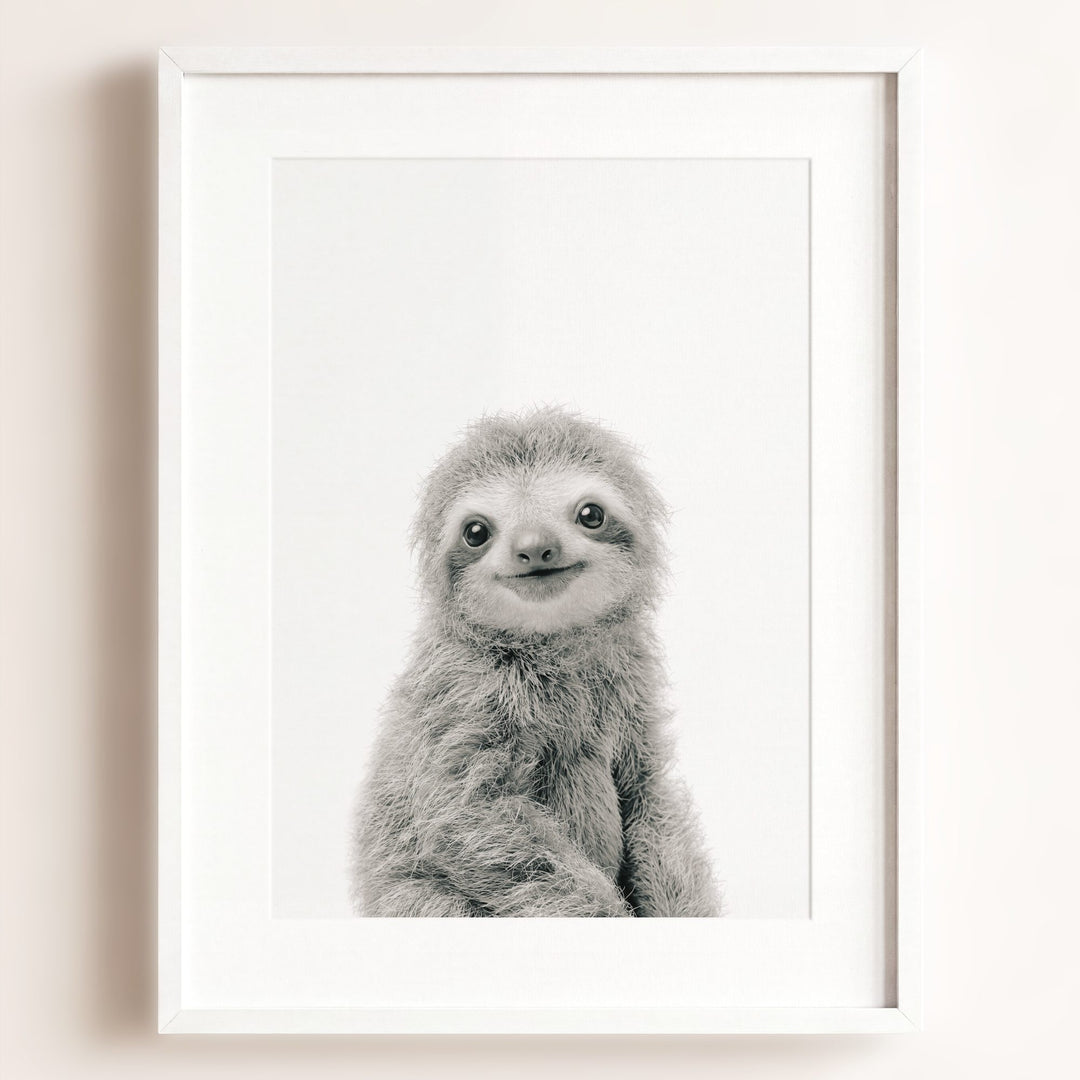 Baby Sloth