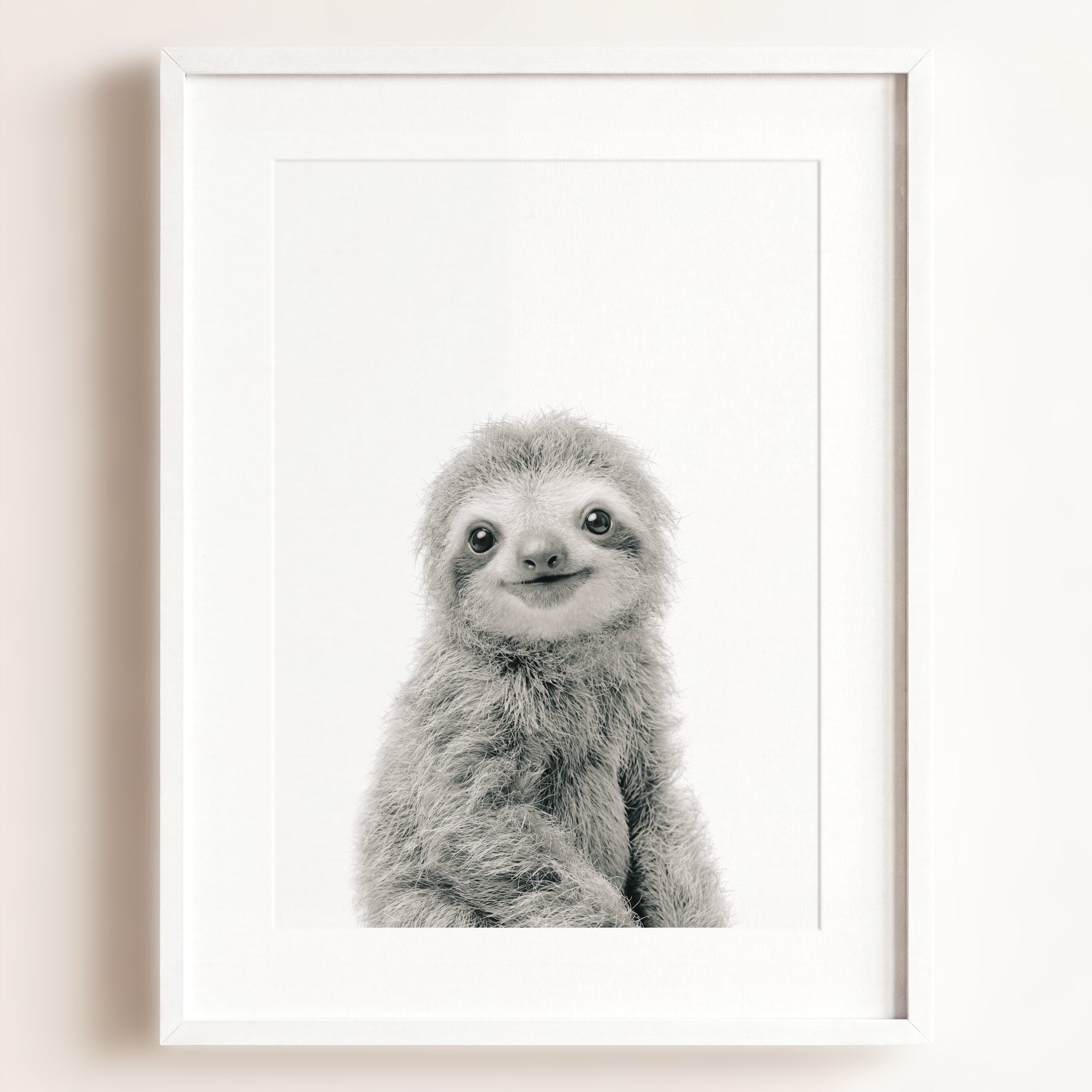 Baby Sloth