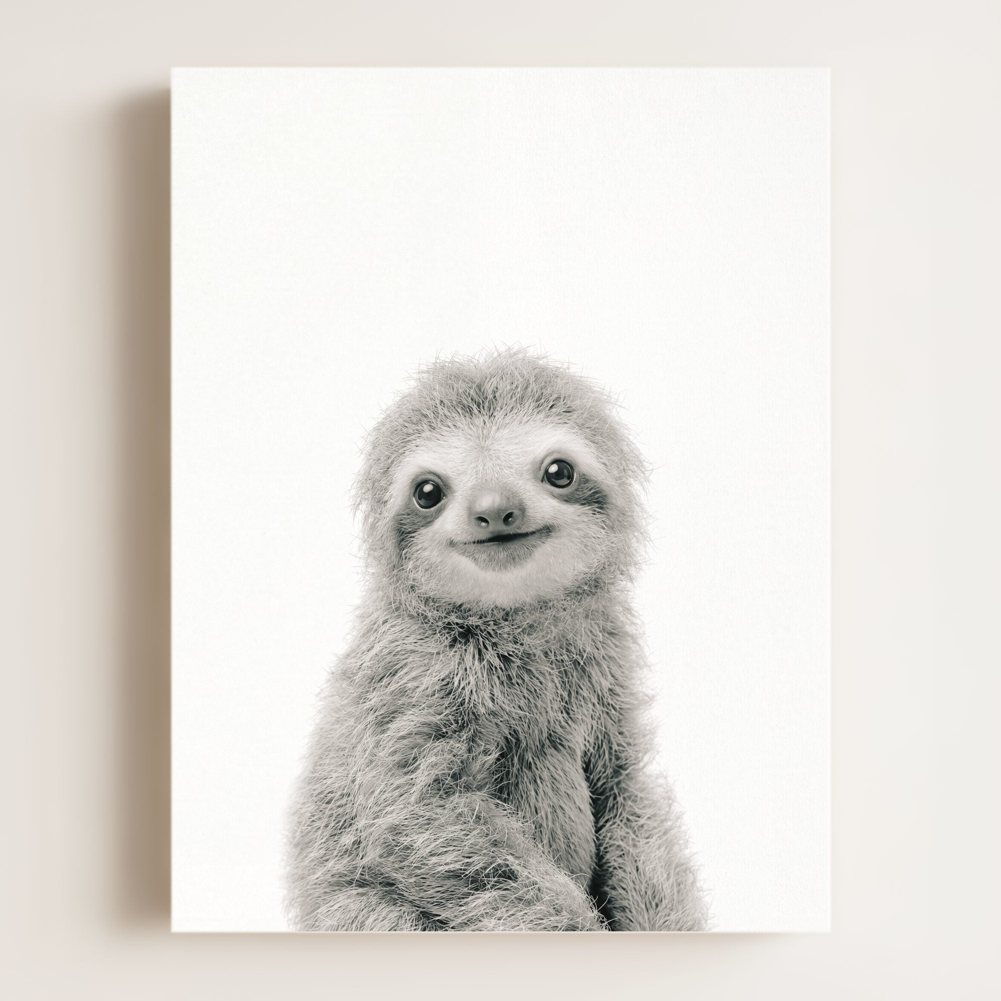 Baby Sloth