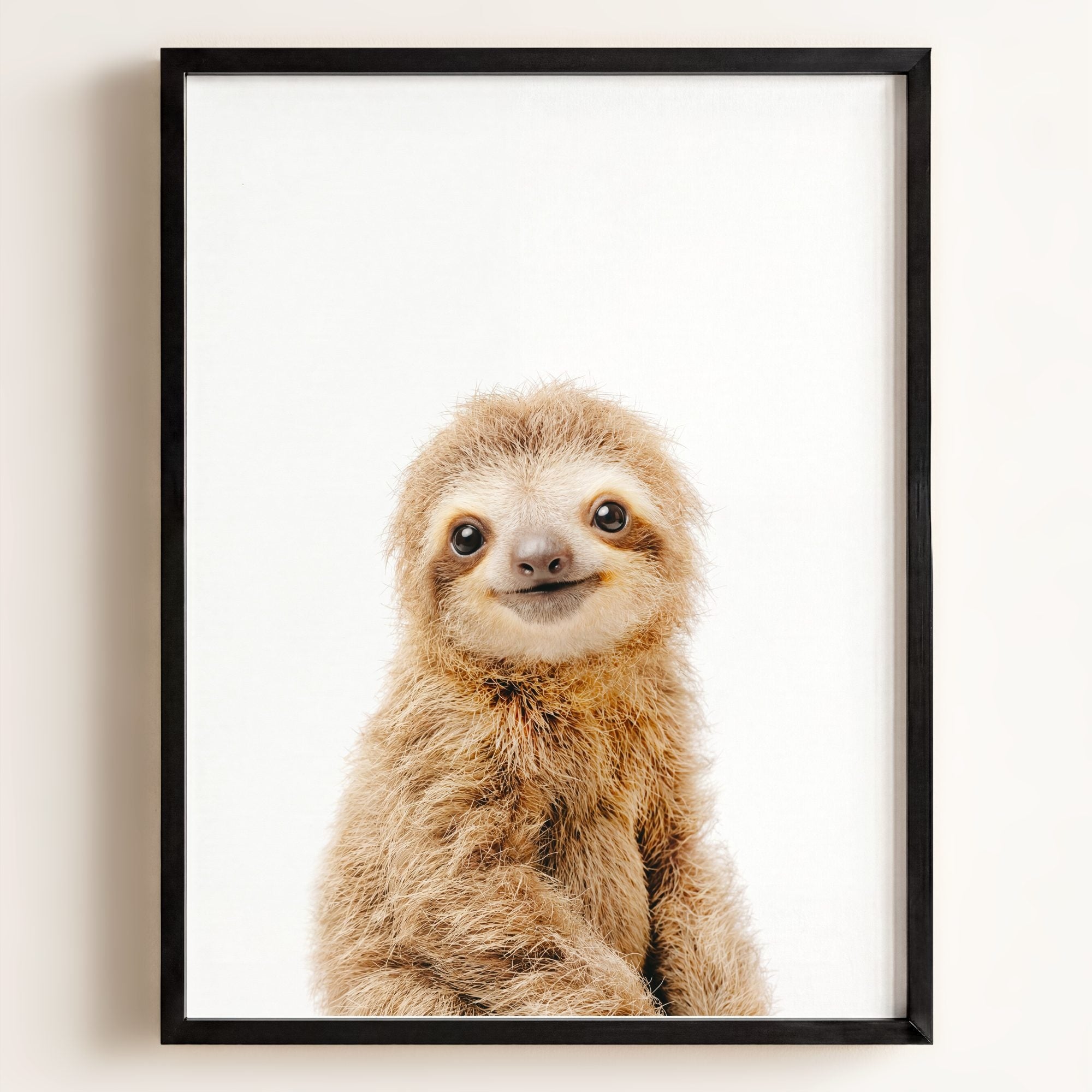 Baby Sloth