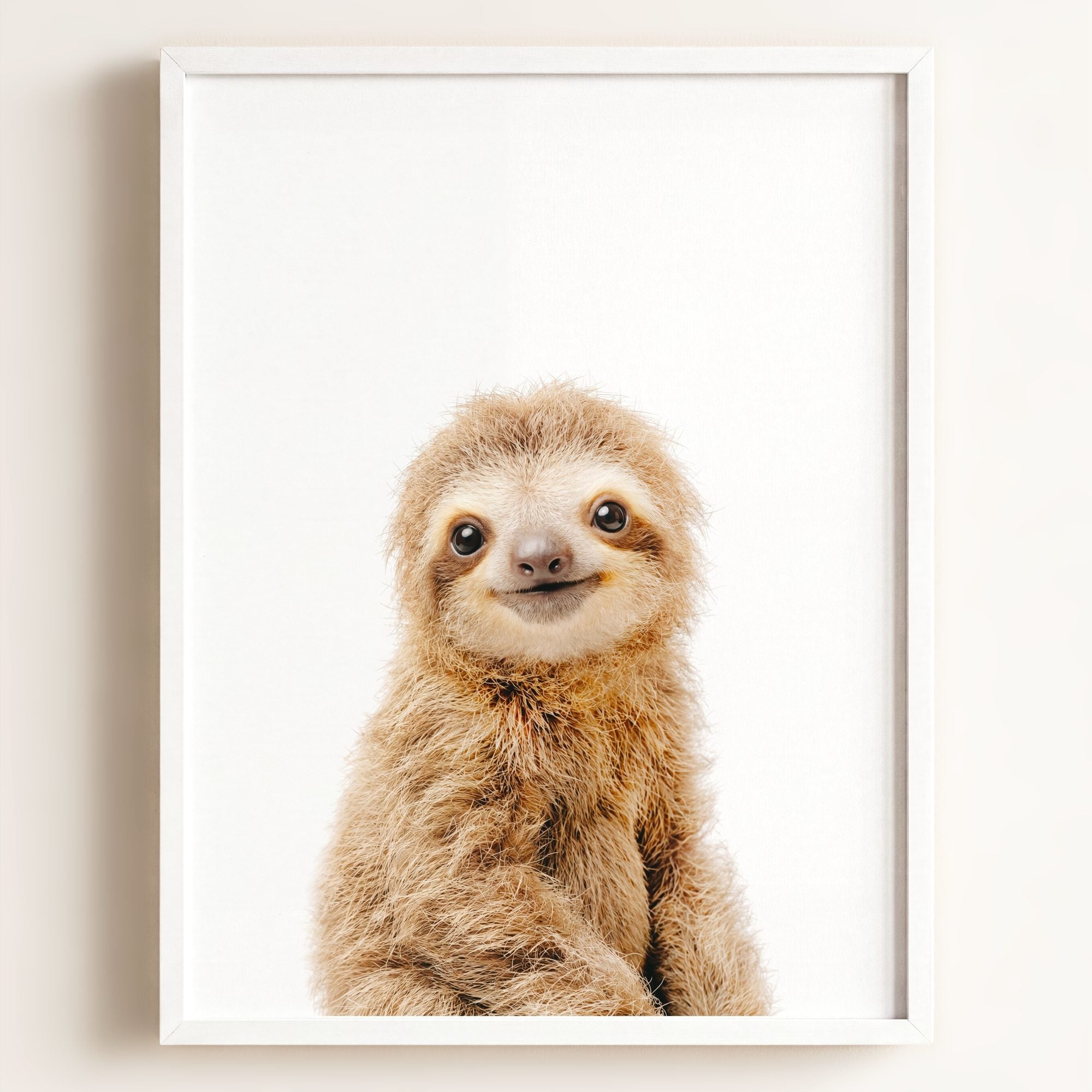 Baby Sloth