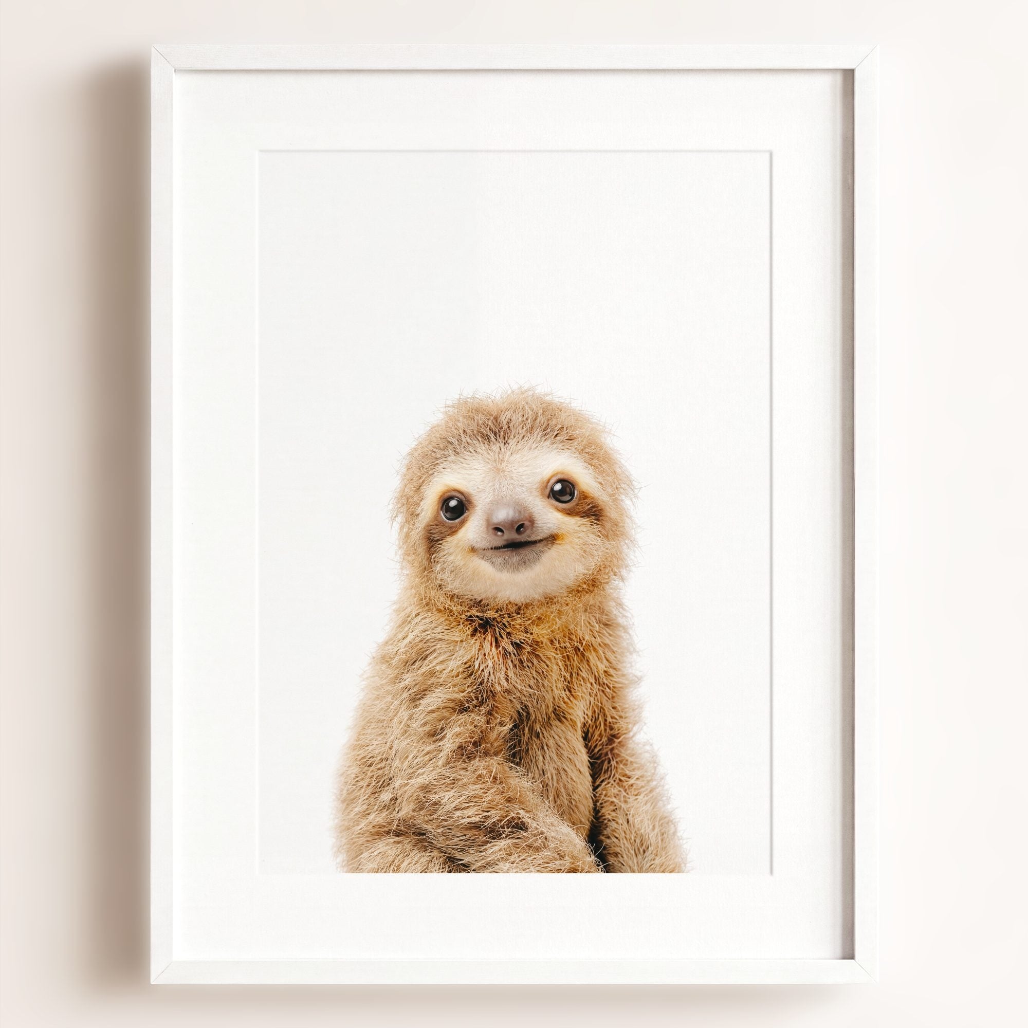 Baby Sloth