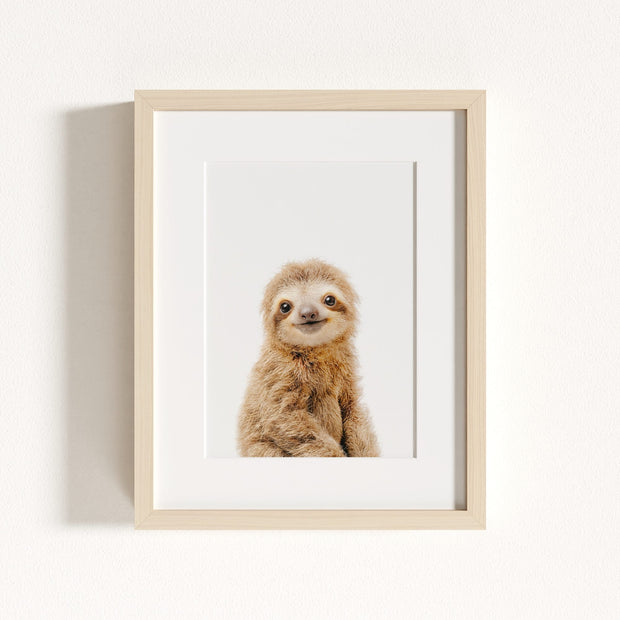 Baby Sloth