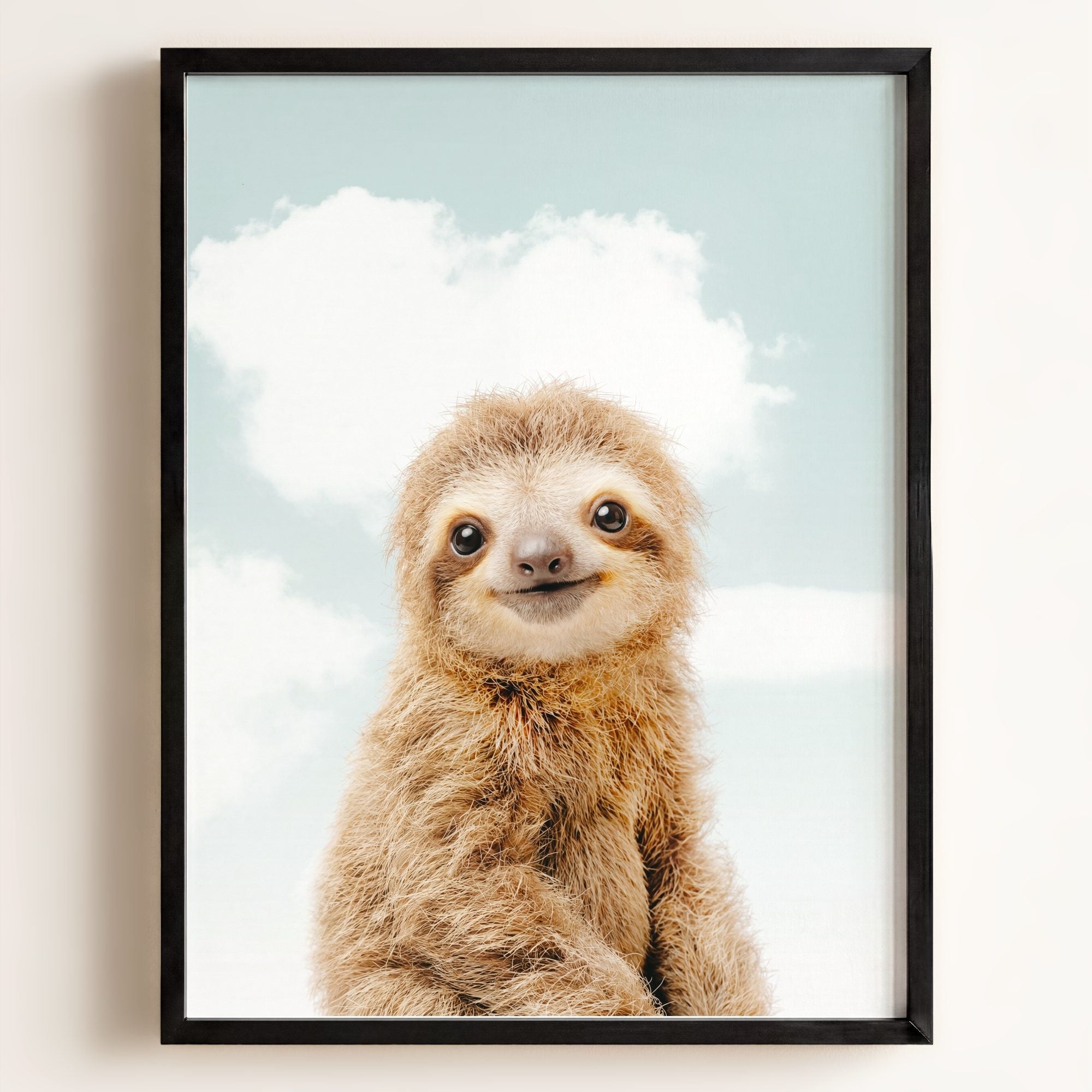 Baby Sloth