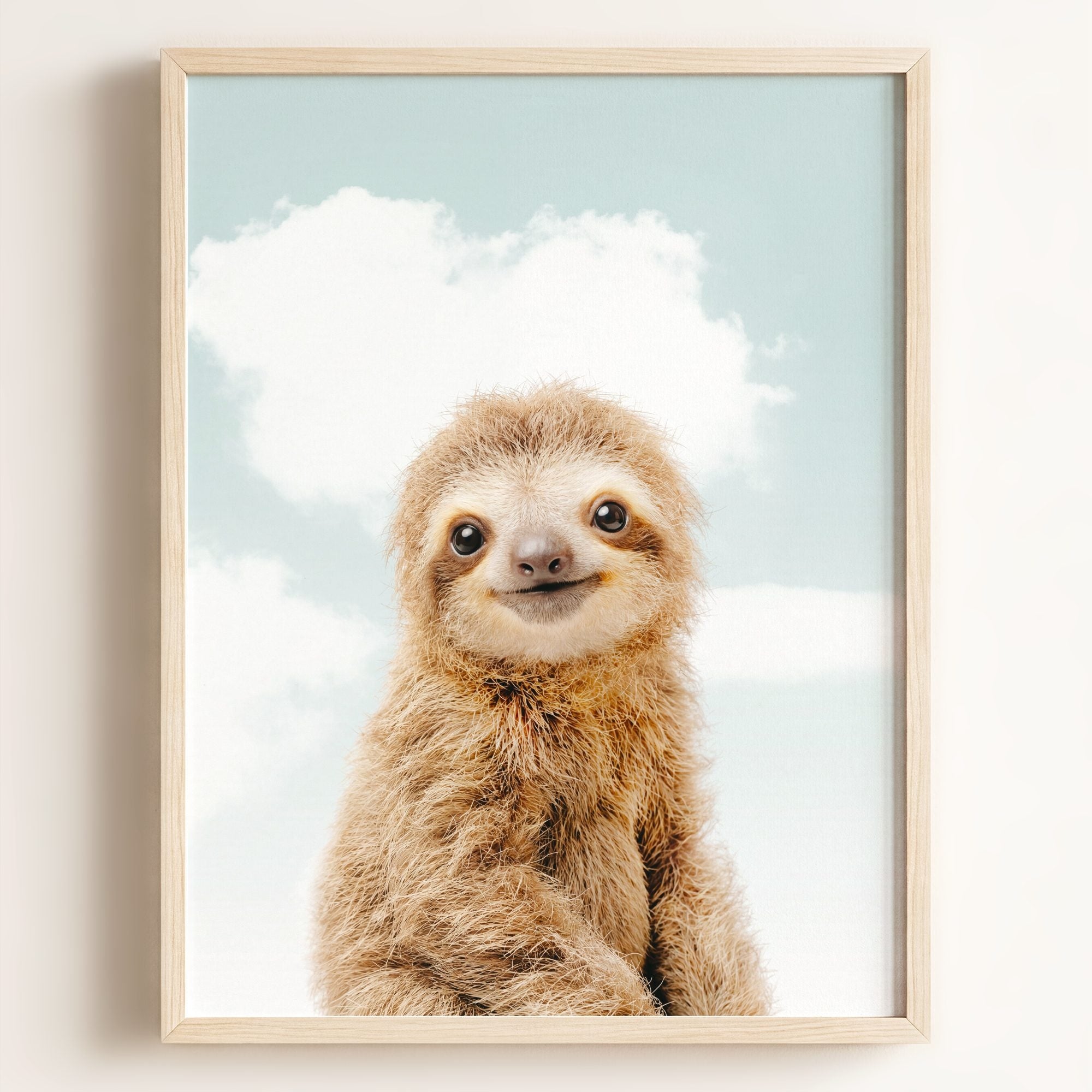 Baby Sloth