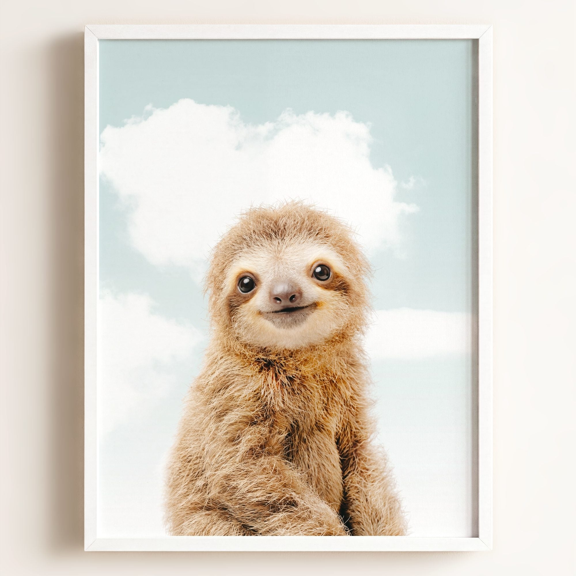 Baby Sloth