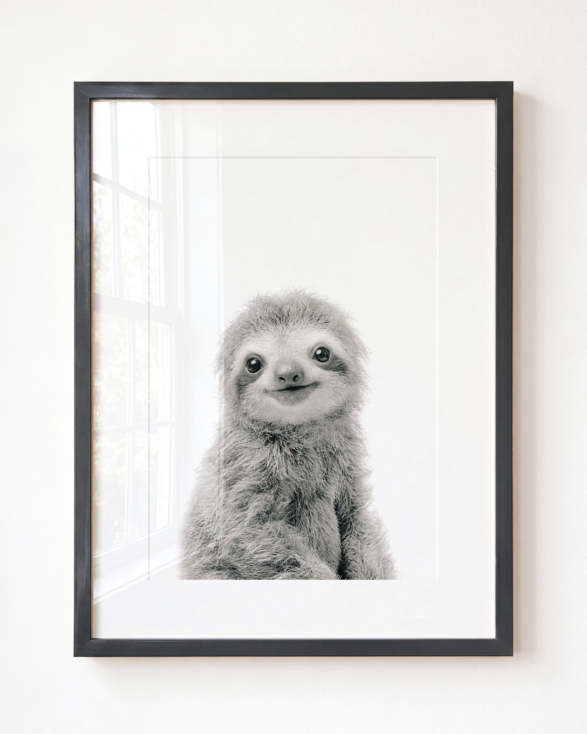 Baby Sloth