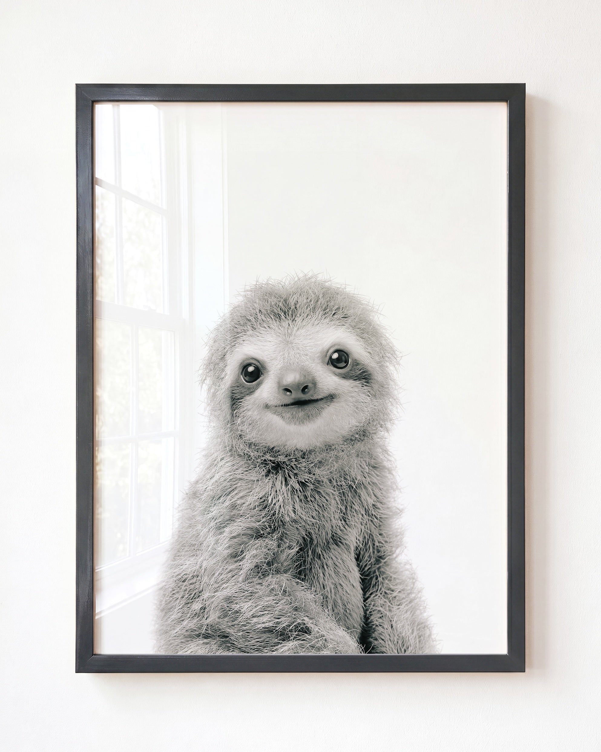 Baby Sloth