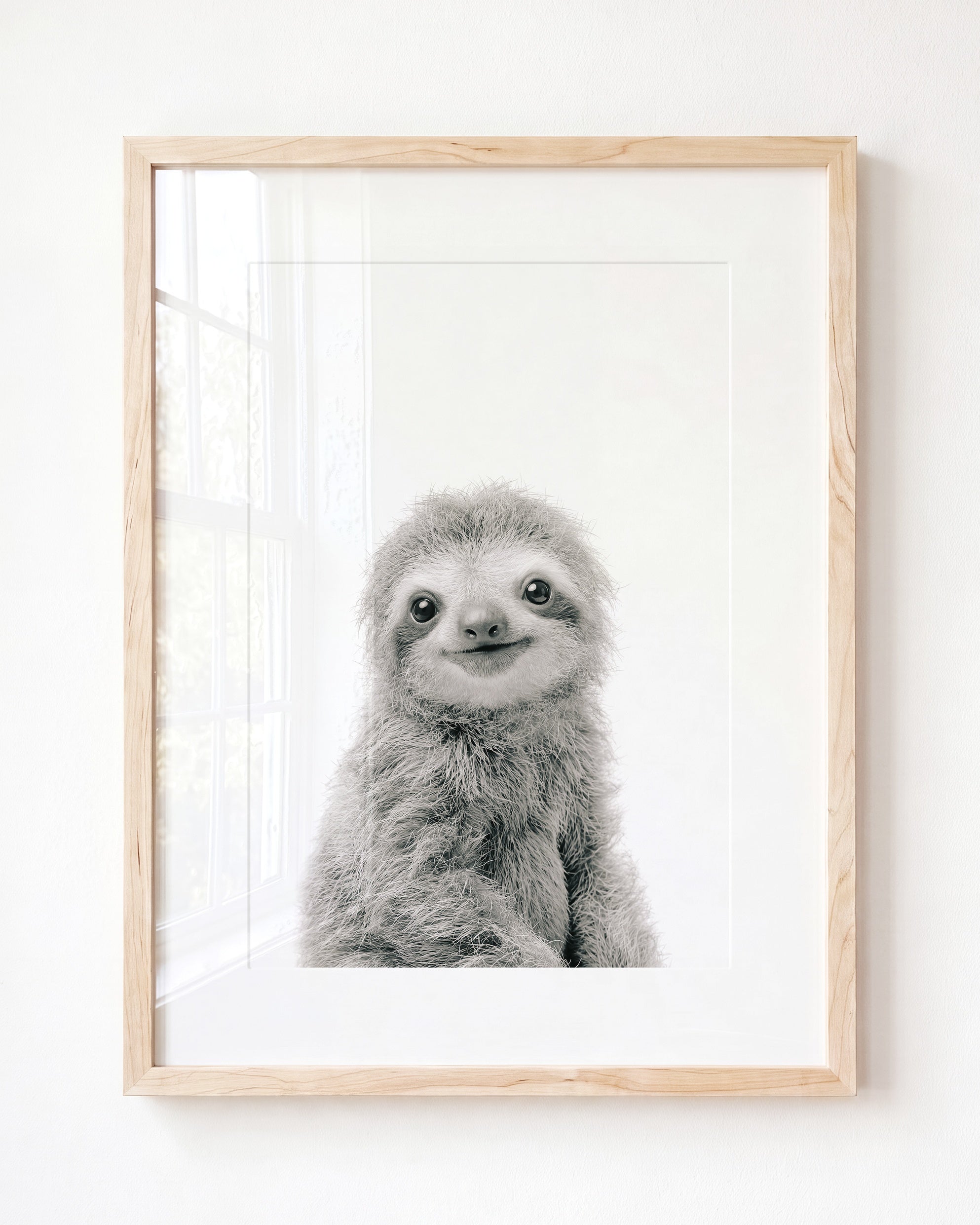 Baby Sloth