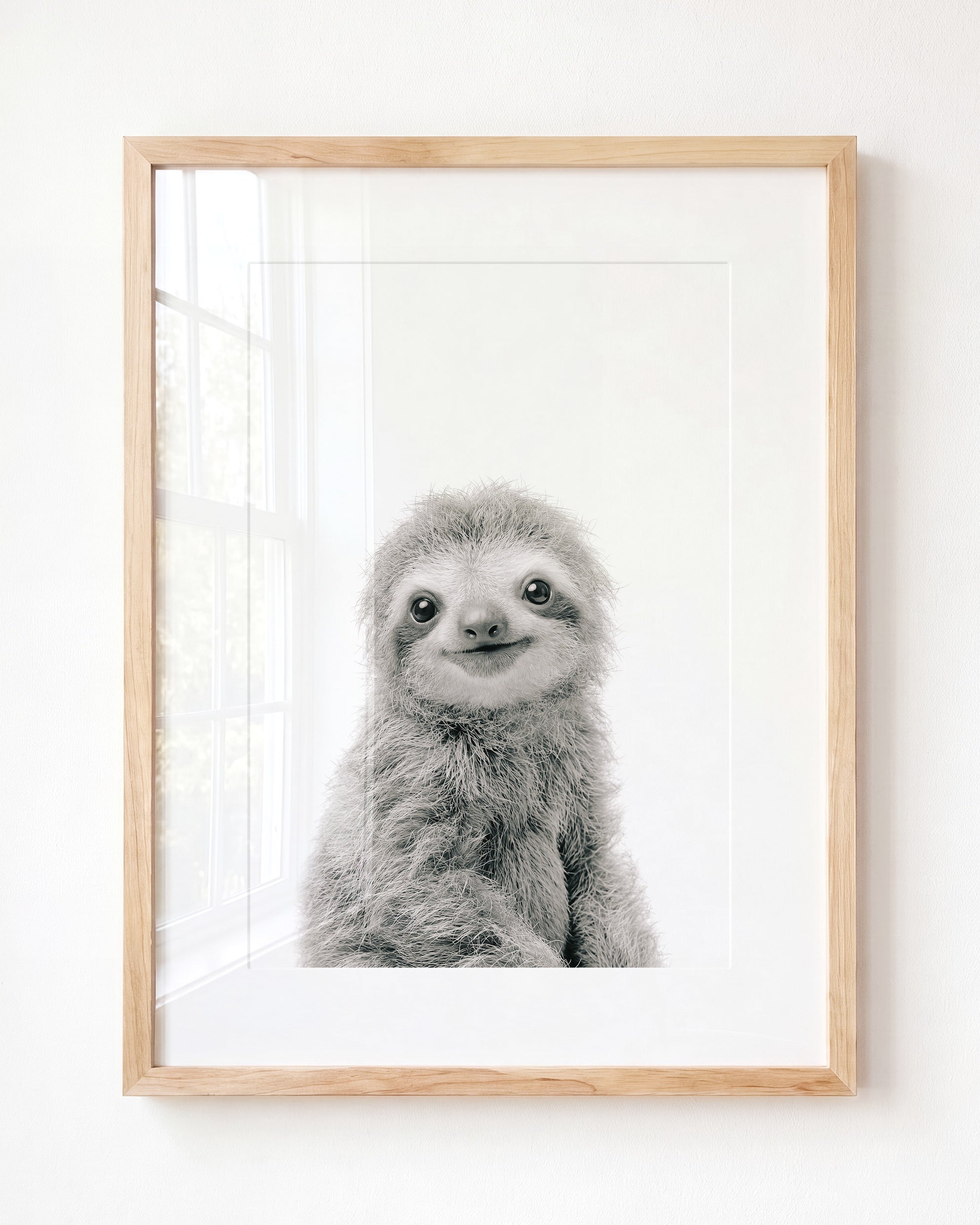 Baby Sloth