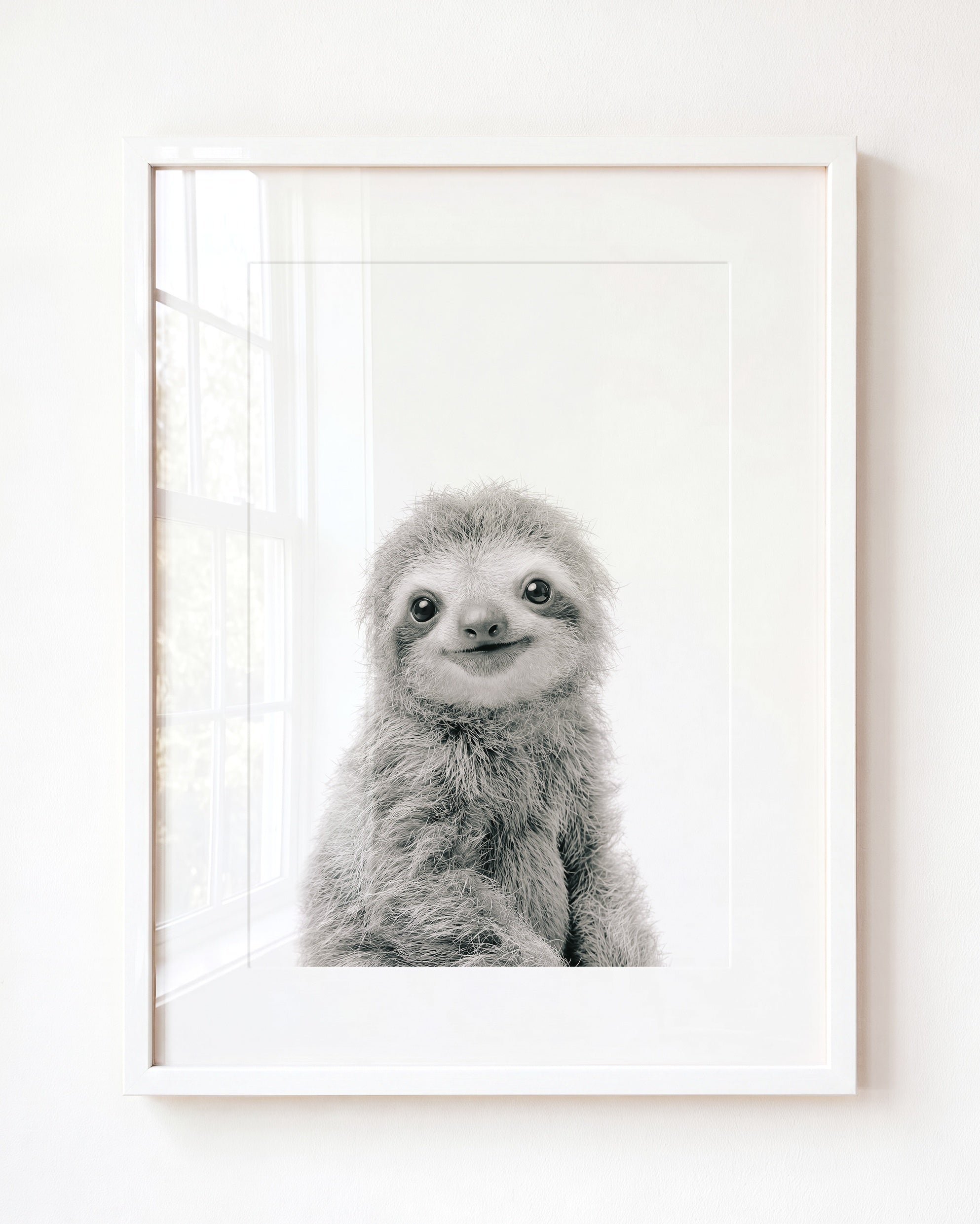 Baby Sloth