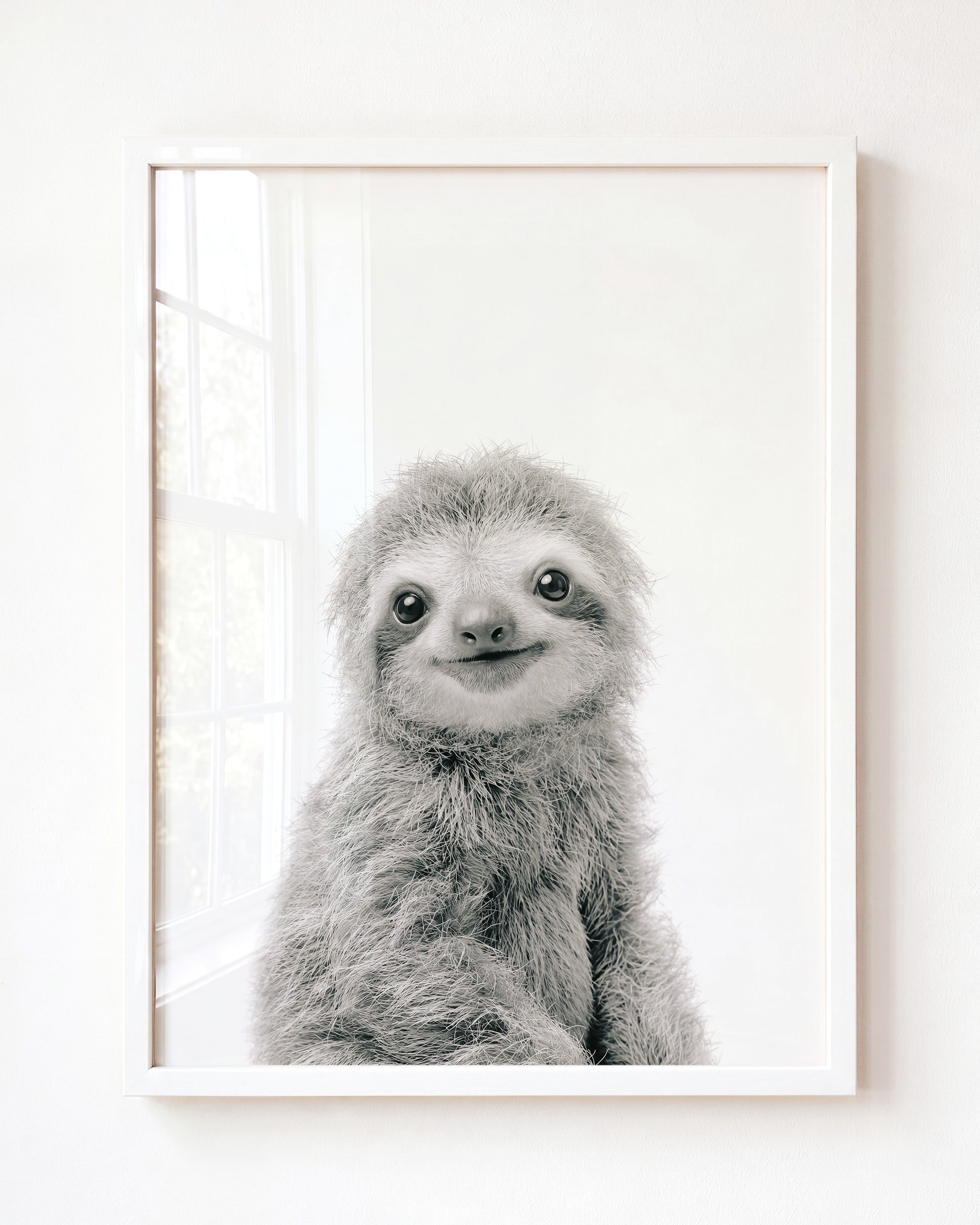 Baby Sloth