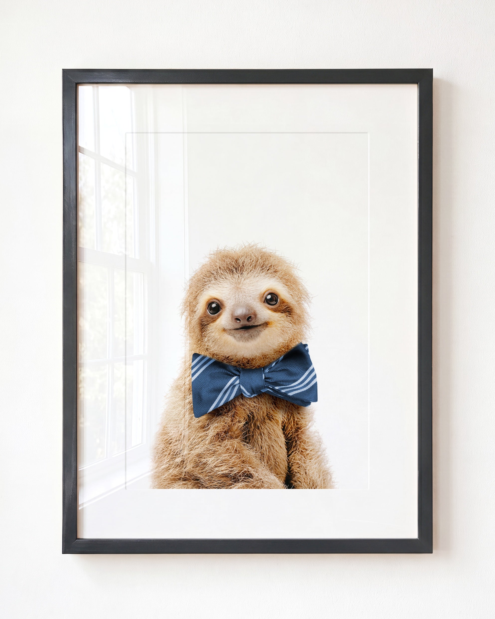 Baby Sloth