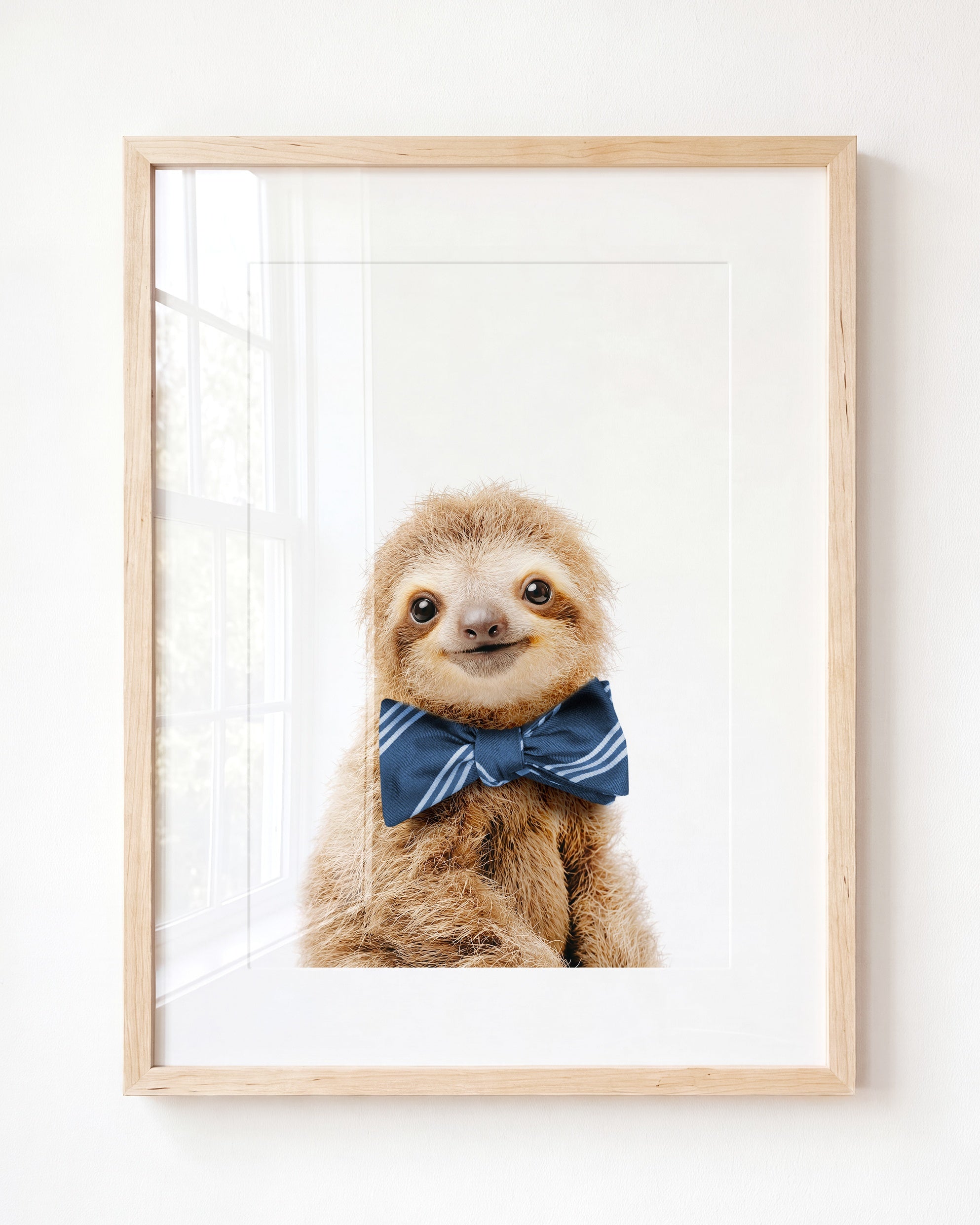 Baby Sloth