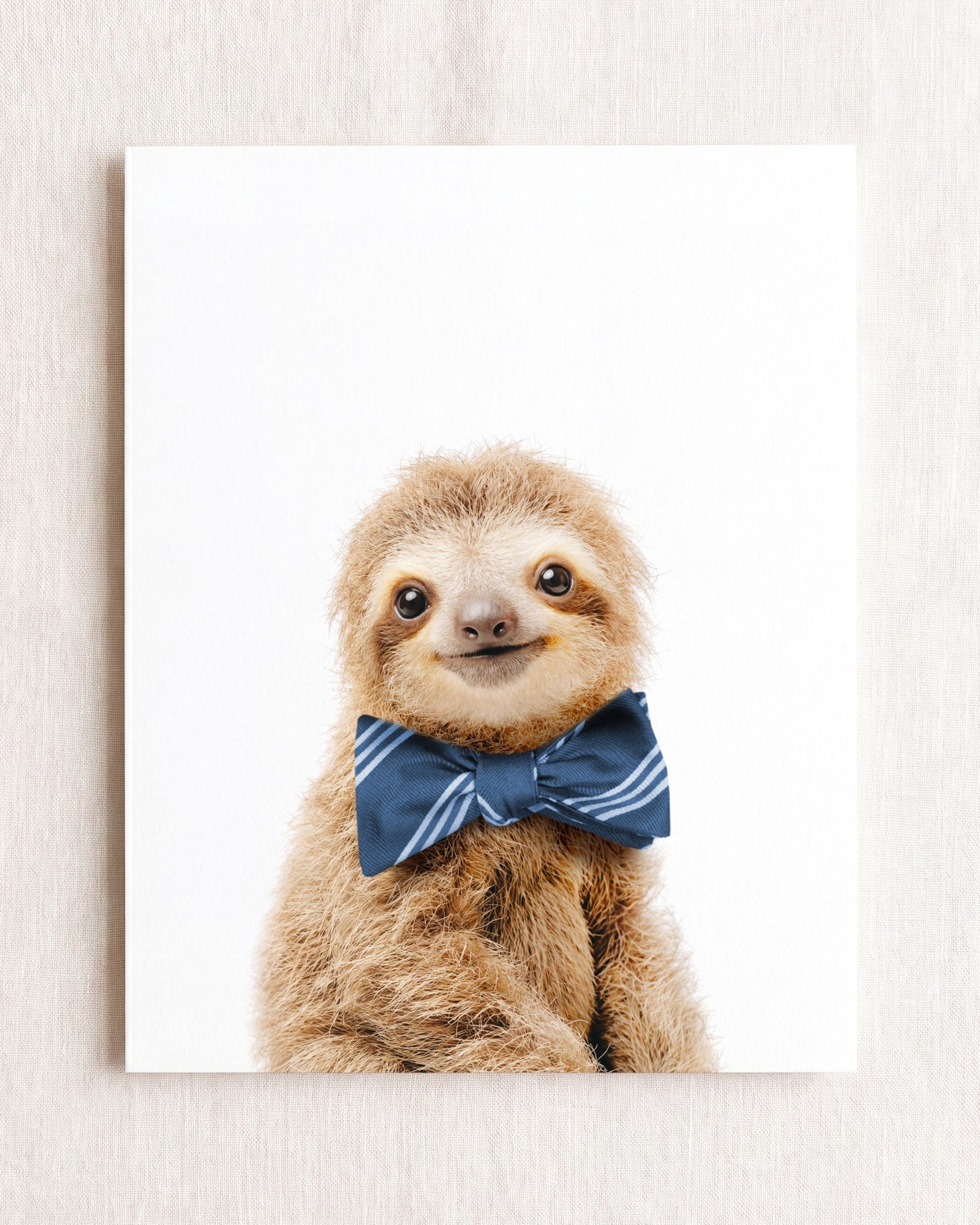 Baby Sloth