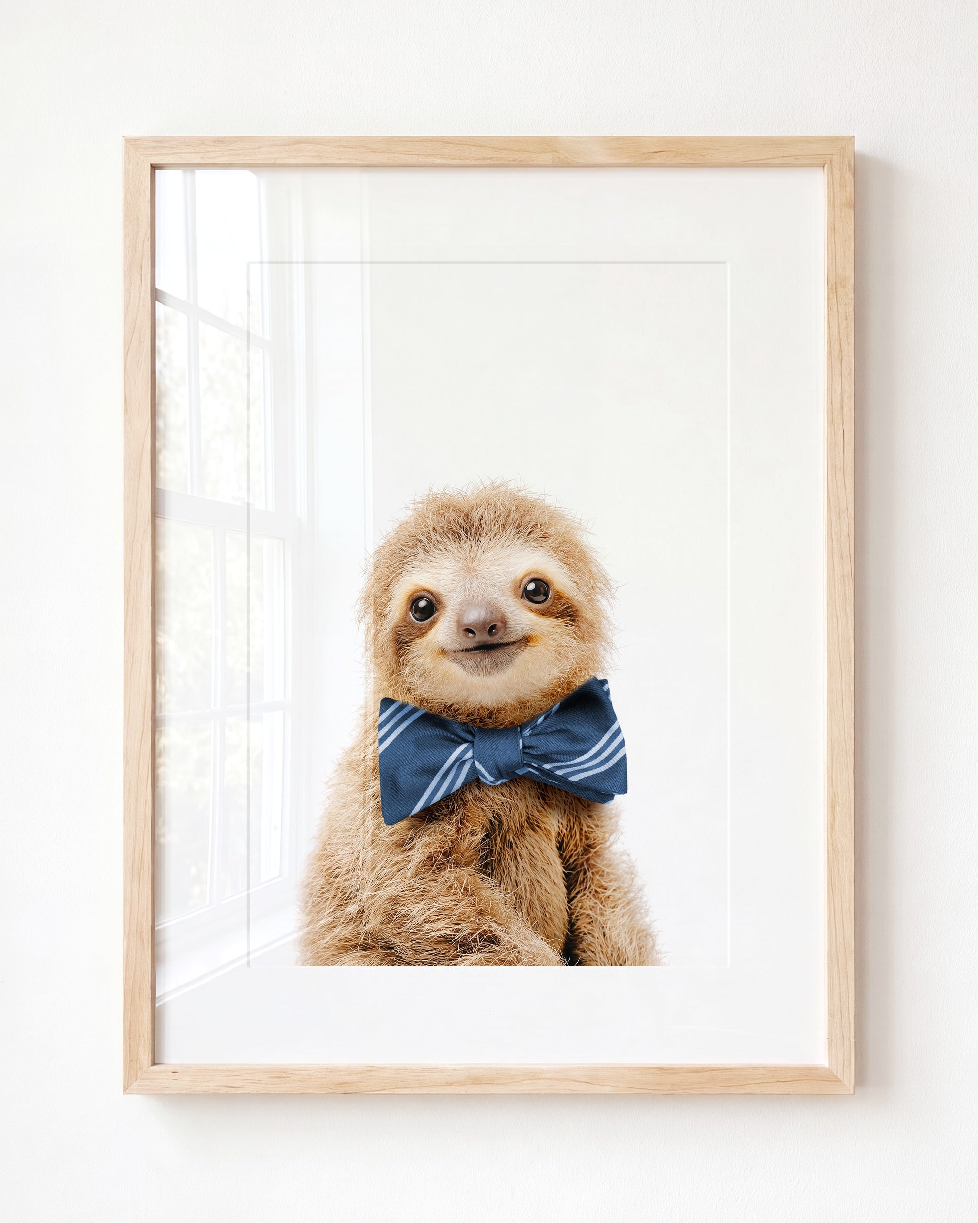 Baby Sloth