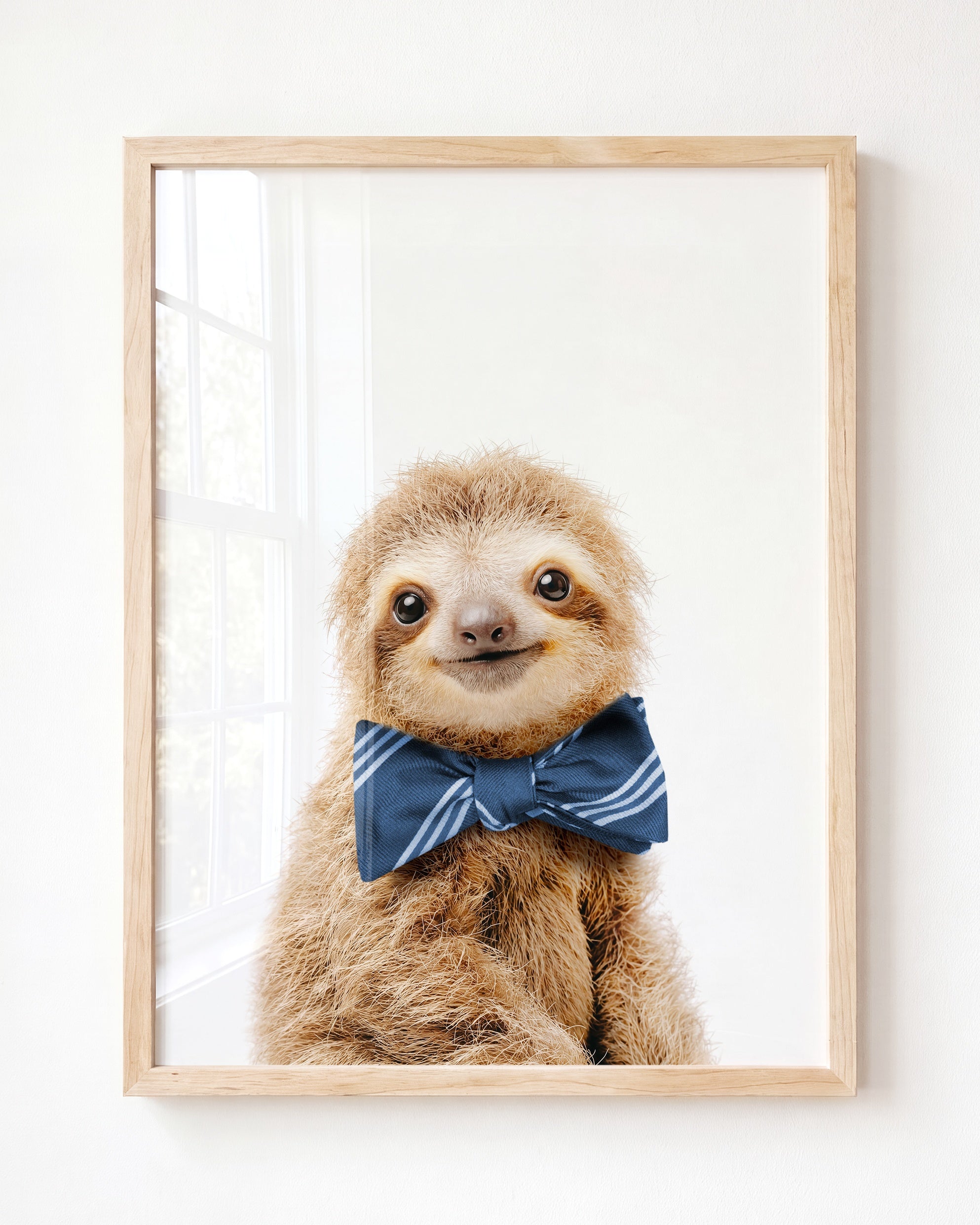 Baby Sloth