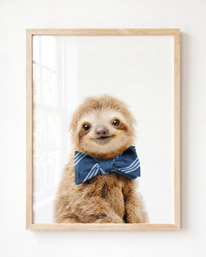 Baby Sloth