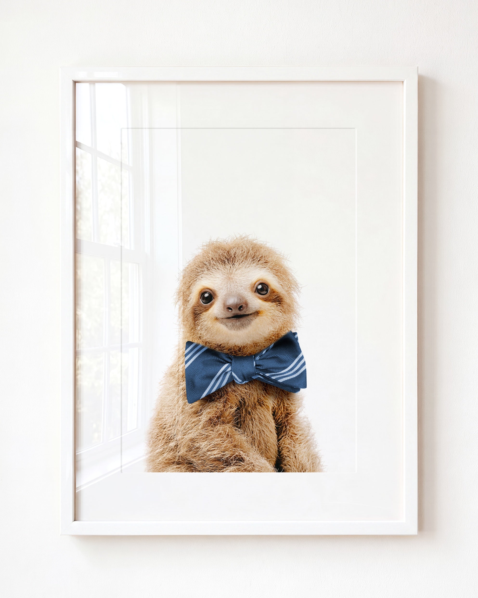 Baby Sloth