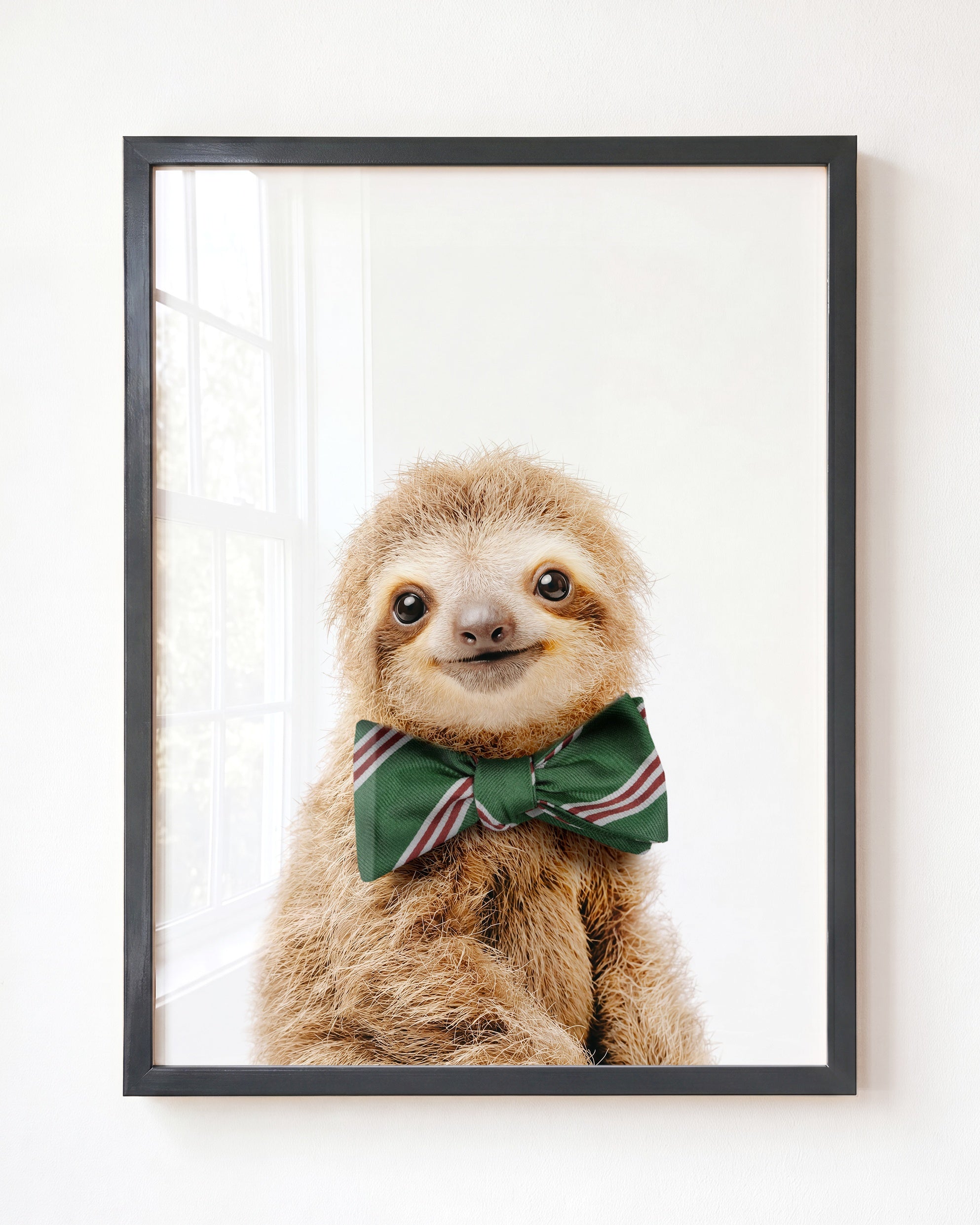 Baby Sloth