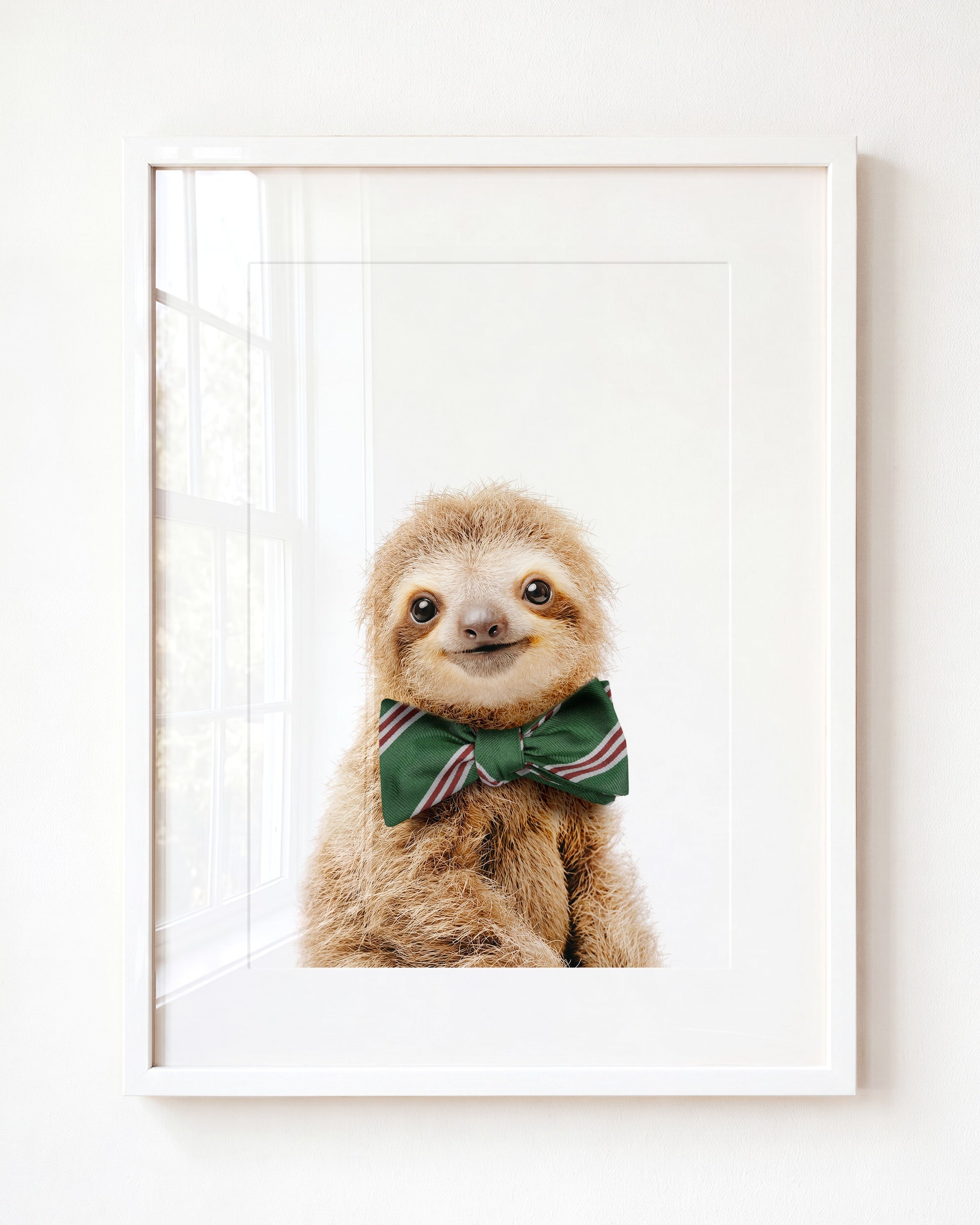 Baby Sloth