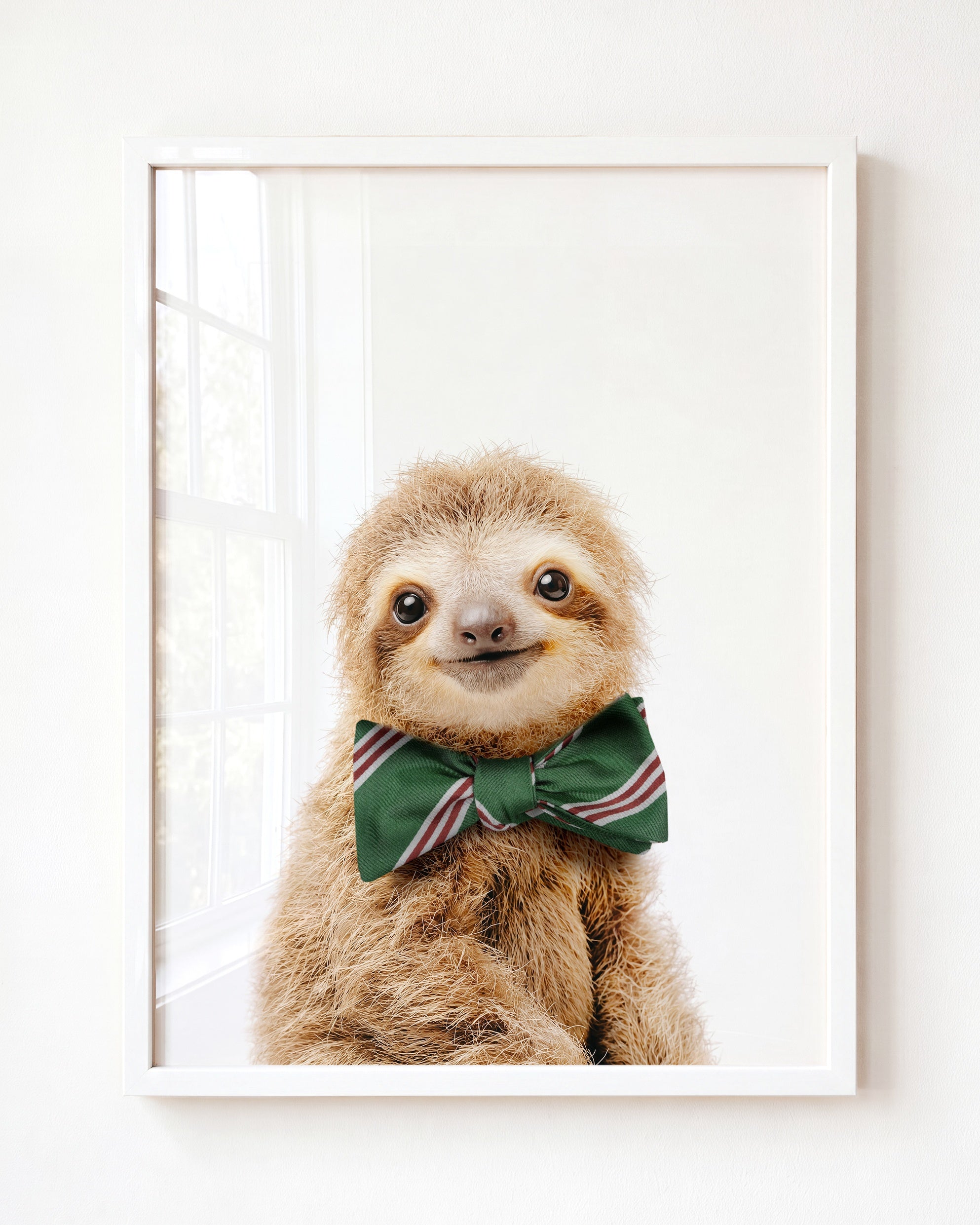 Baby Sloth