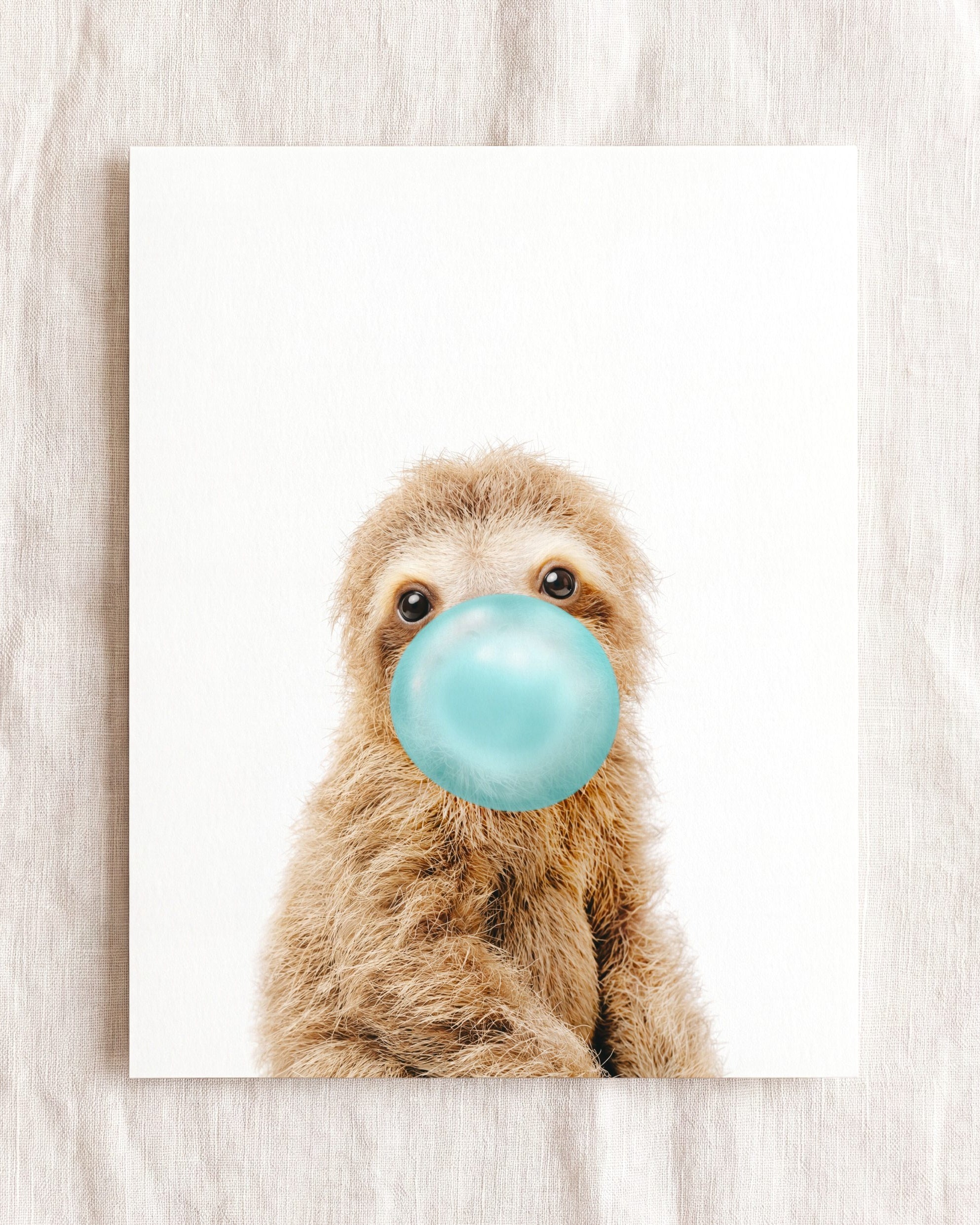 Baby Sloth