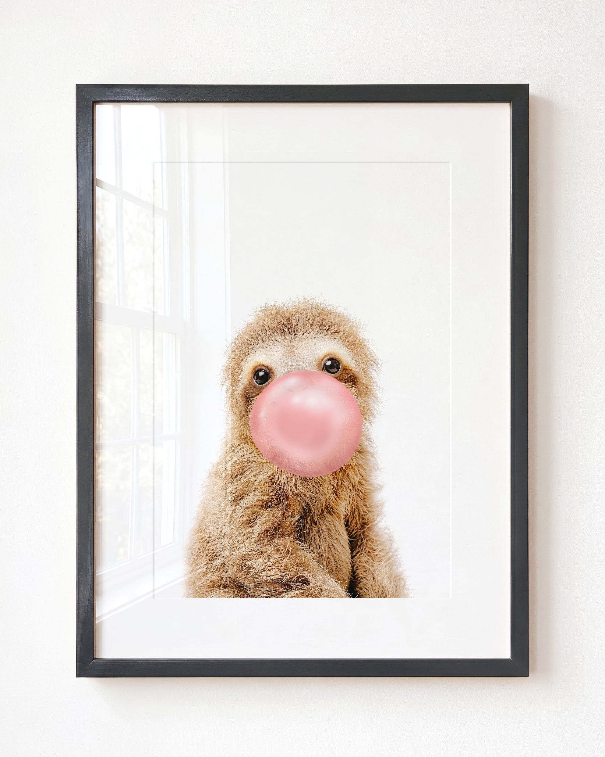 Baby Sloth
