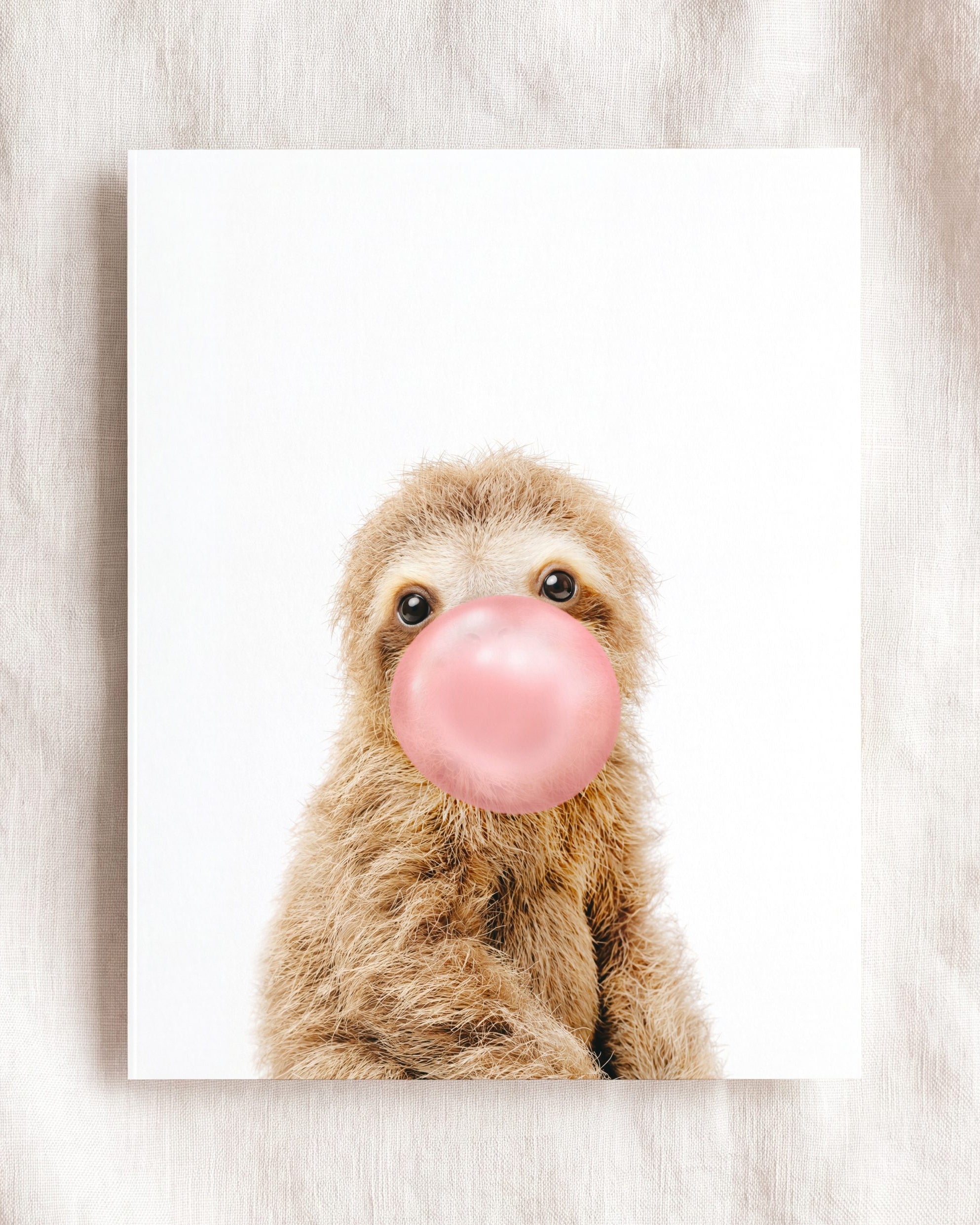 Baby Sloth