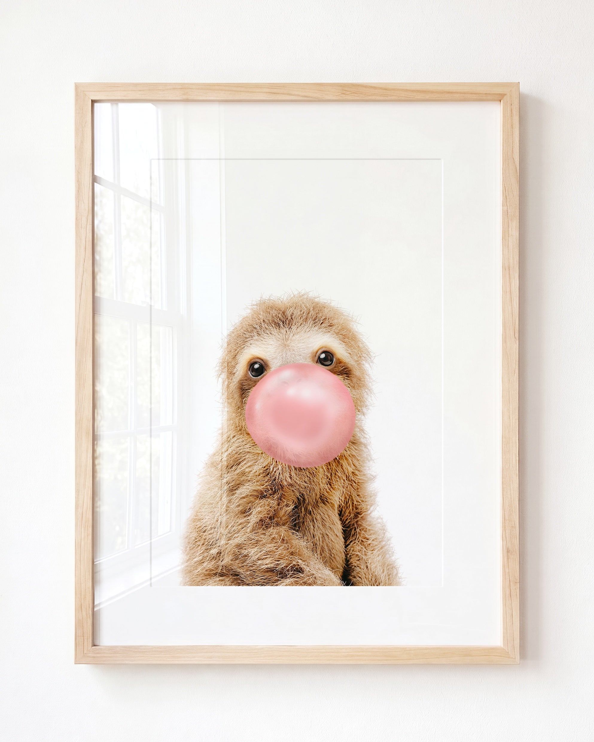 Baby Sloth