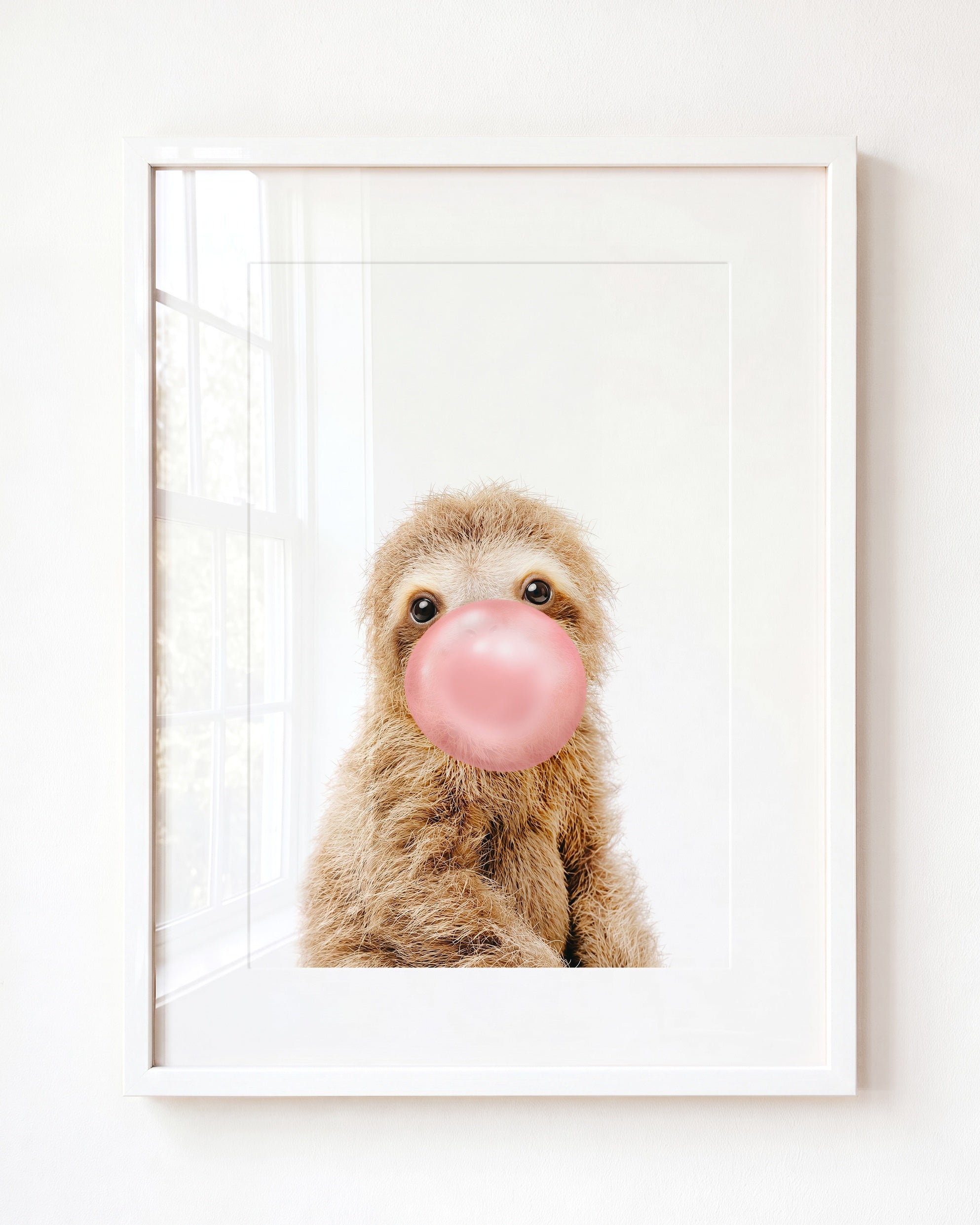 Baby Sloth