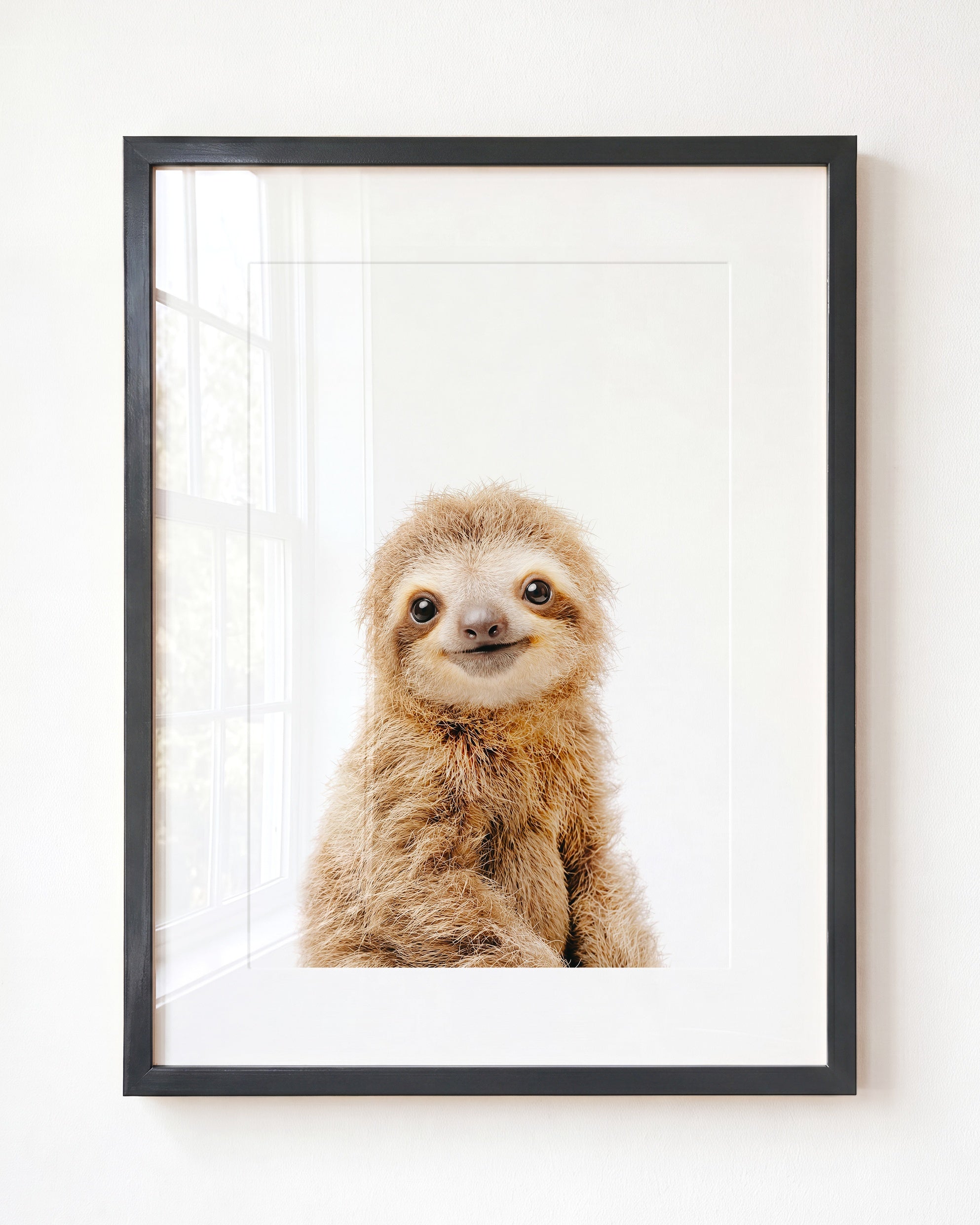 Baby Sloth