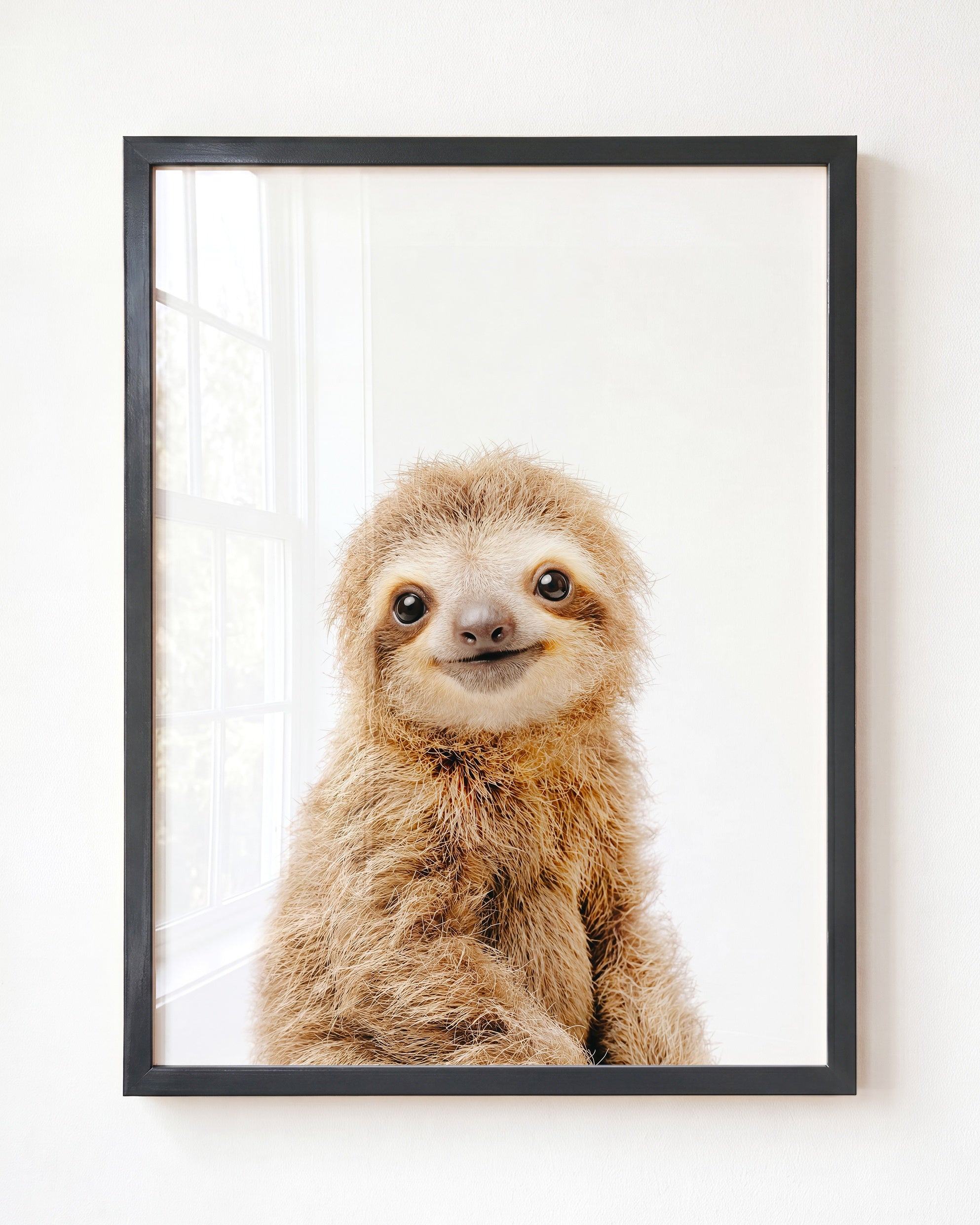 Baby Sloth