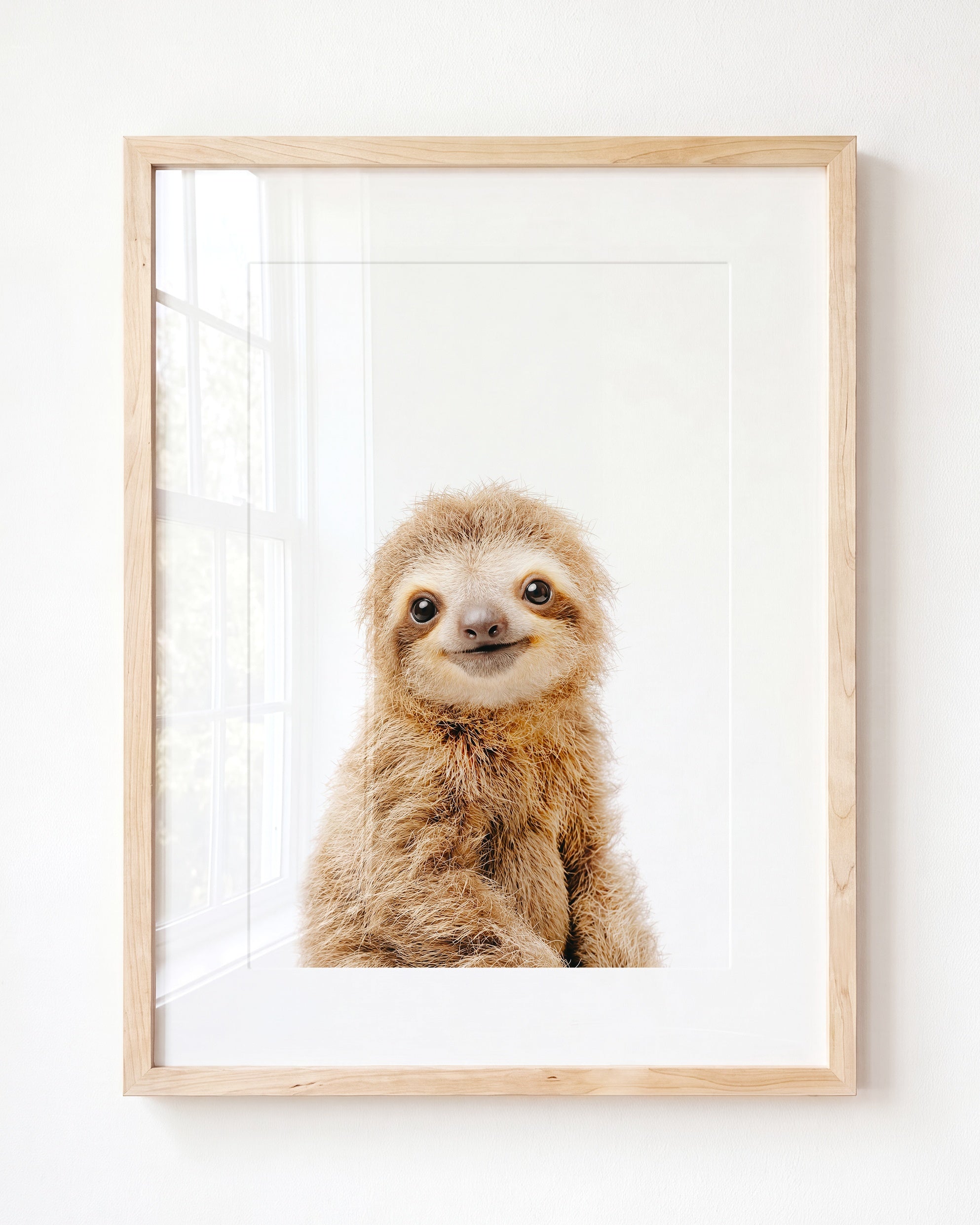 Baby Sloth