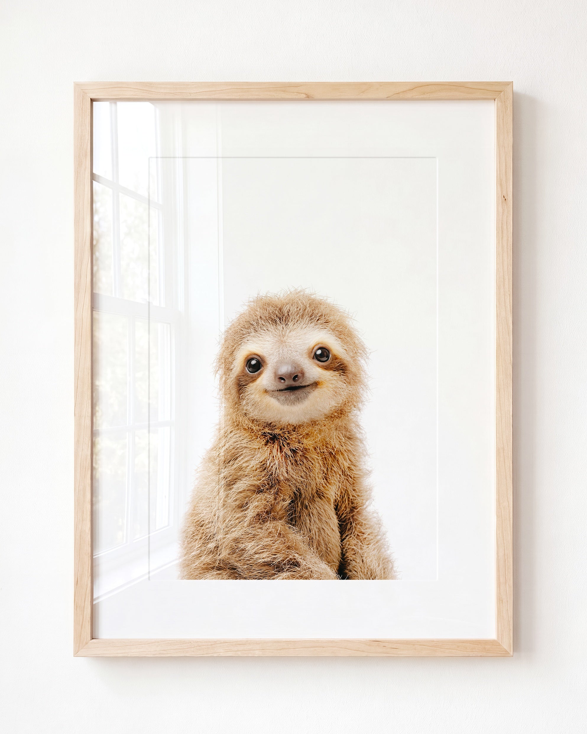 Baby Sloth