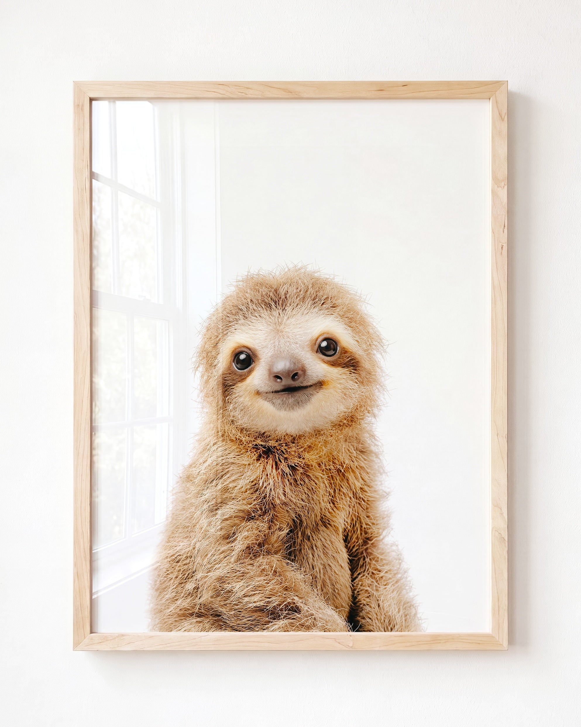 Baby Sloth