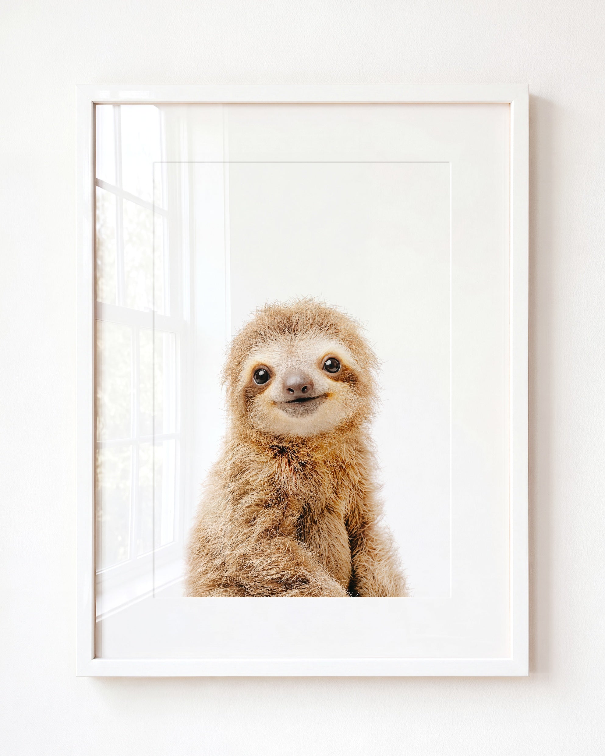 Baby Sloth