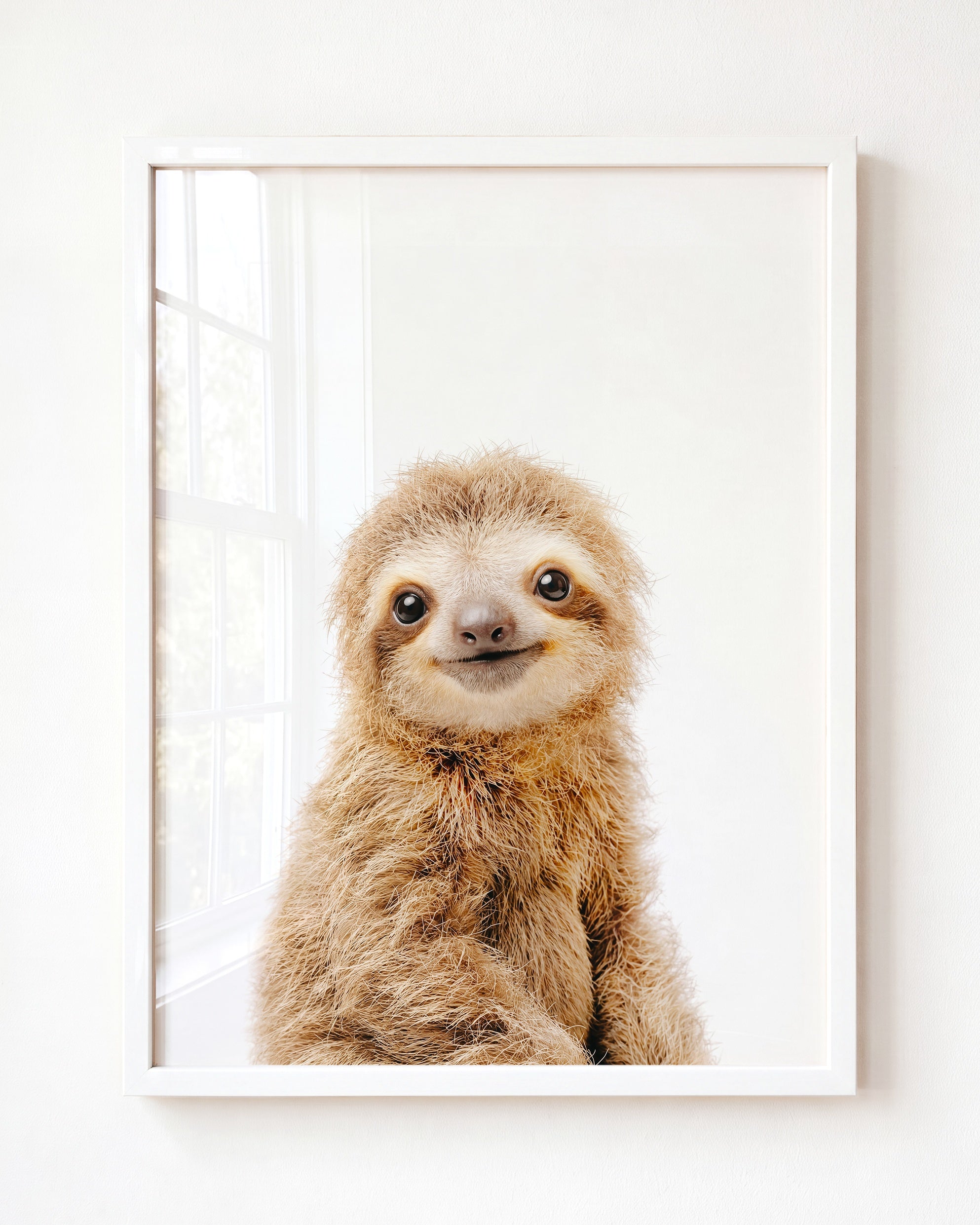 Baby Sloth