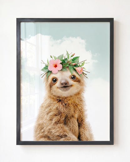 Baby Sloth